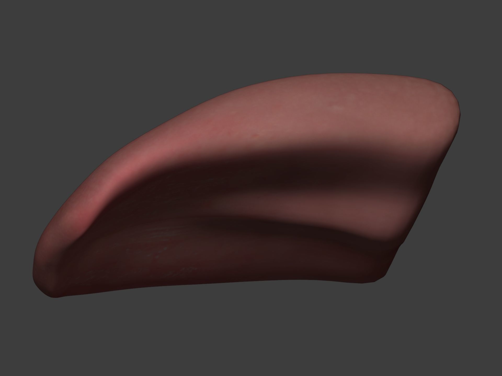 Mouth - Teeth Anatomy -- Rigged -- Low Poly -- PBR Low-poly 3D model_26