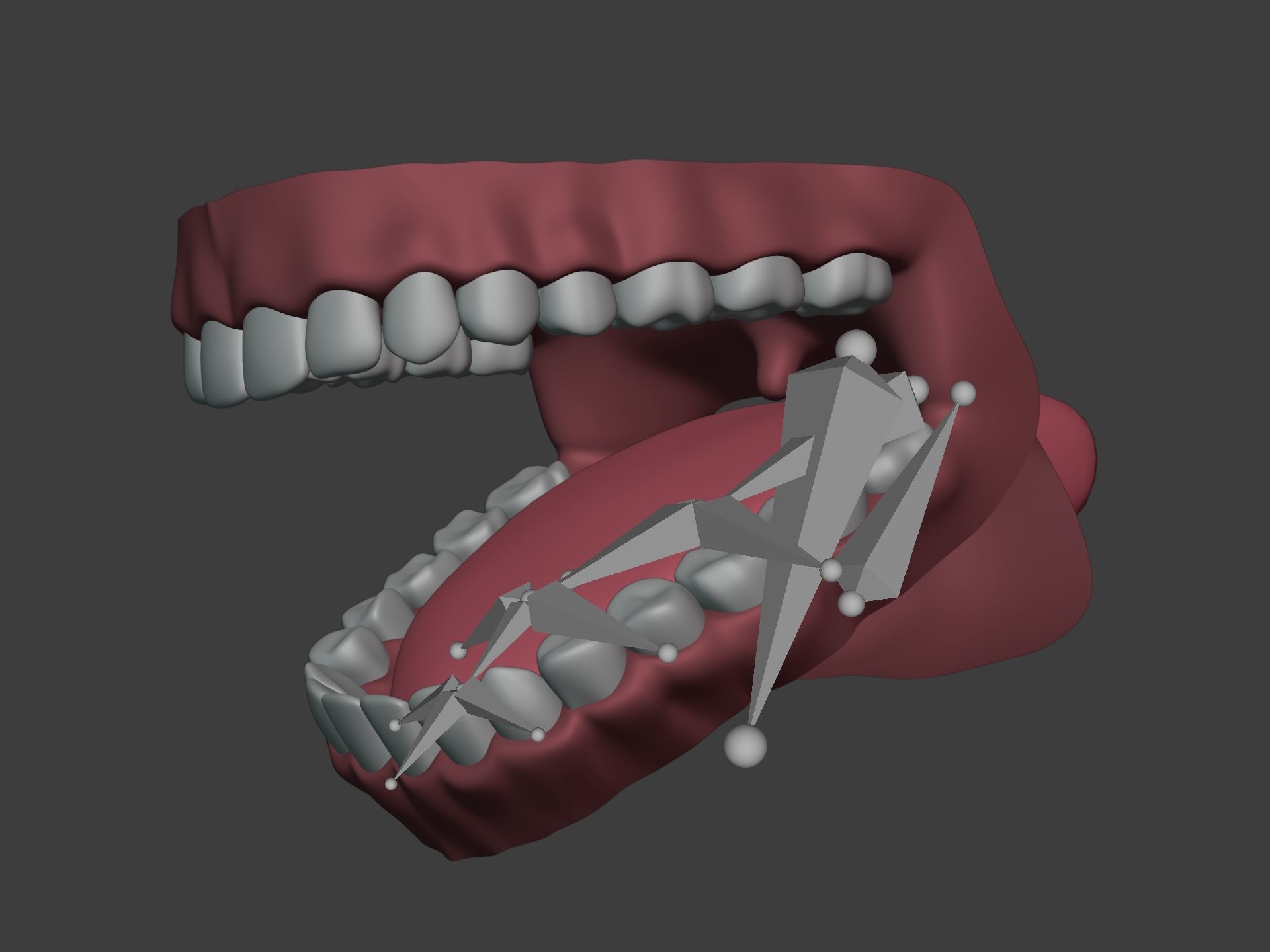 Mouth - Teeth Anatomy -- Rigged -- Low Poly -- PBR Low-poly 3D model_14