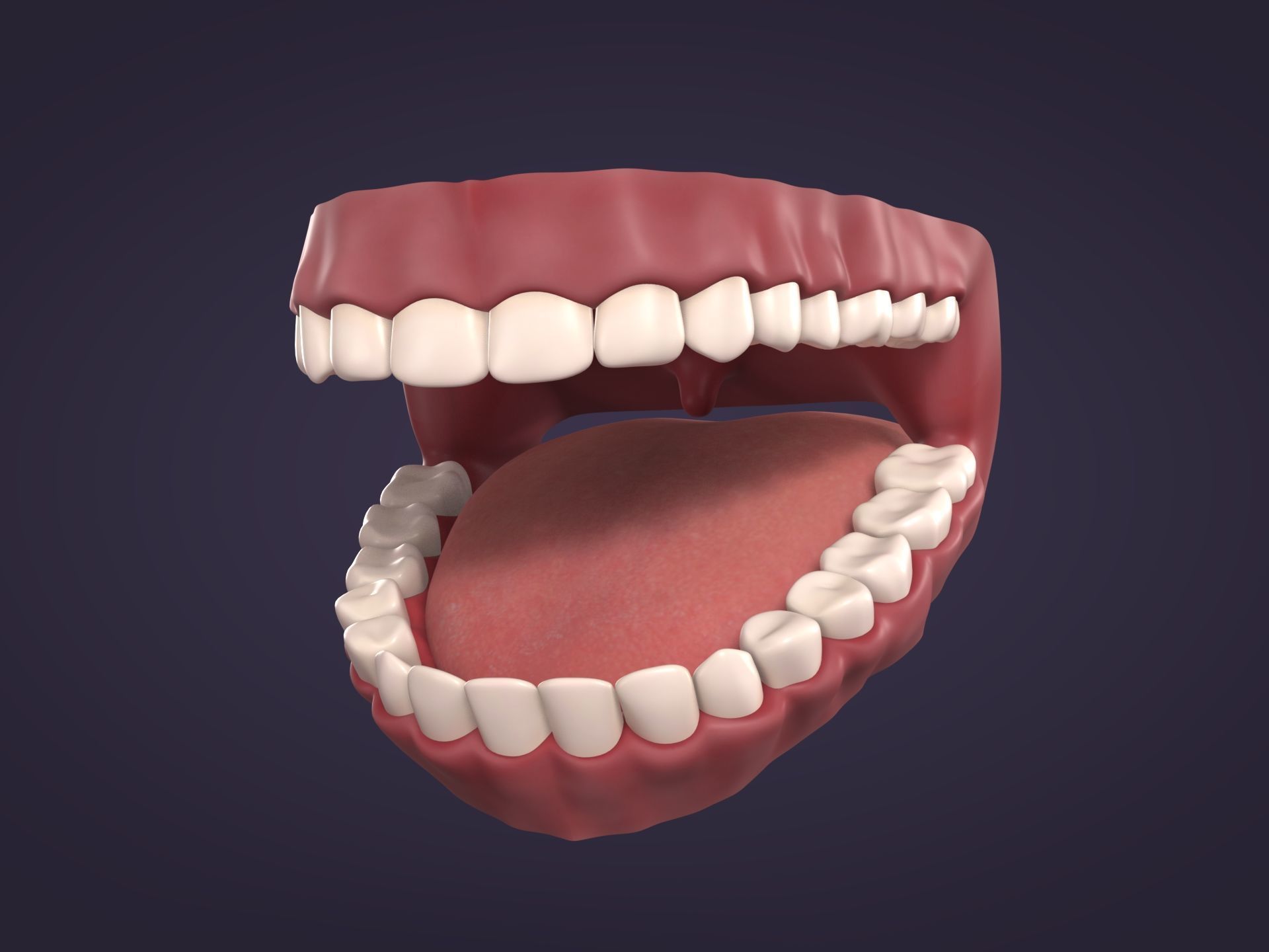 Mouth - Teeth Anatomy -- Rigged -- Low Poly -- PBR Low-poly 3D model_2