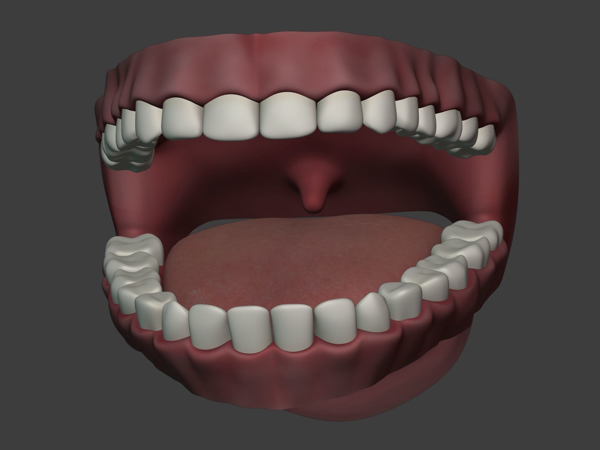 Mouth - Teeth Anatomy -- Rigged -- Low Poly -- PBR Low-poly 3D model_10