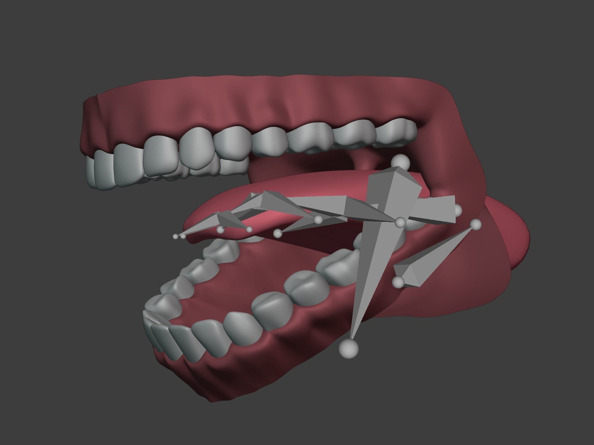 Mouth - Teeth Anatomy -- Rigged -- Low Poly -- PBR Low-poly 3D model_15