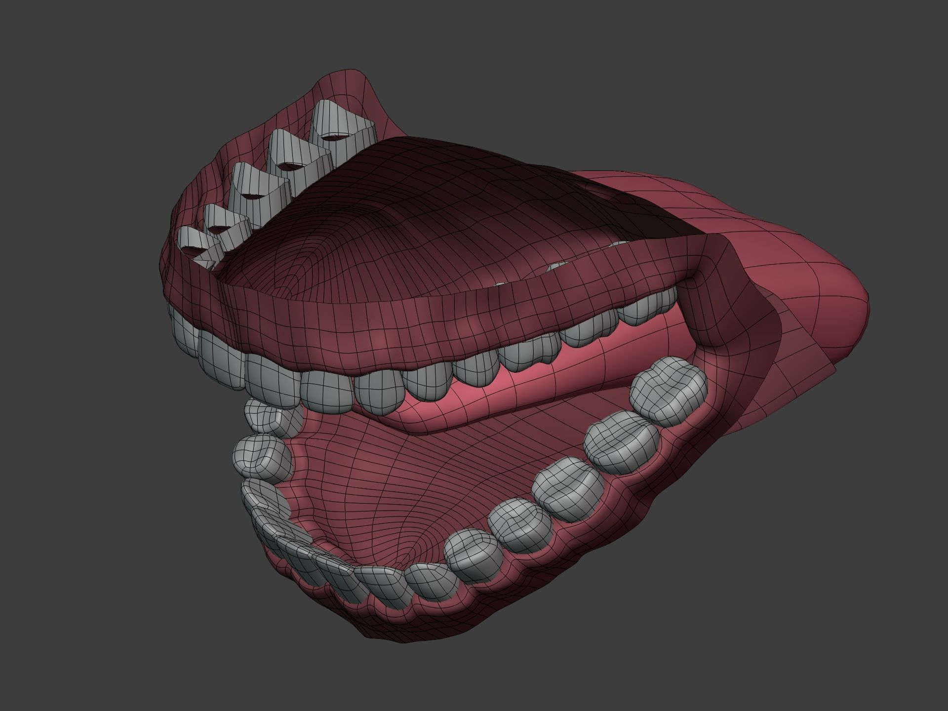 Mouth - Teeth Anatomy -- Rigged -- Low Poly -- PBR Low-poly 3D model_21