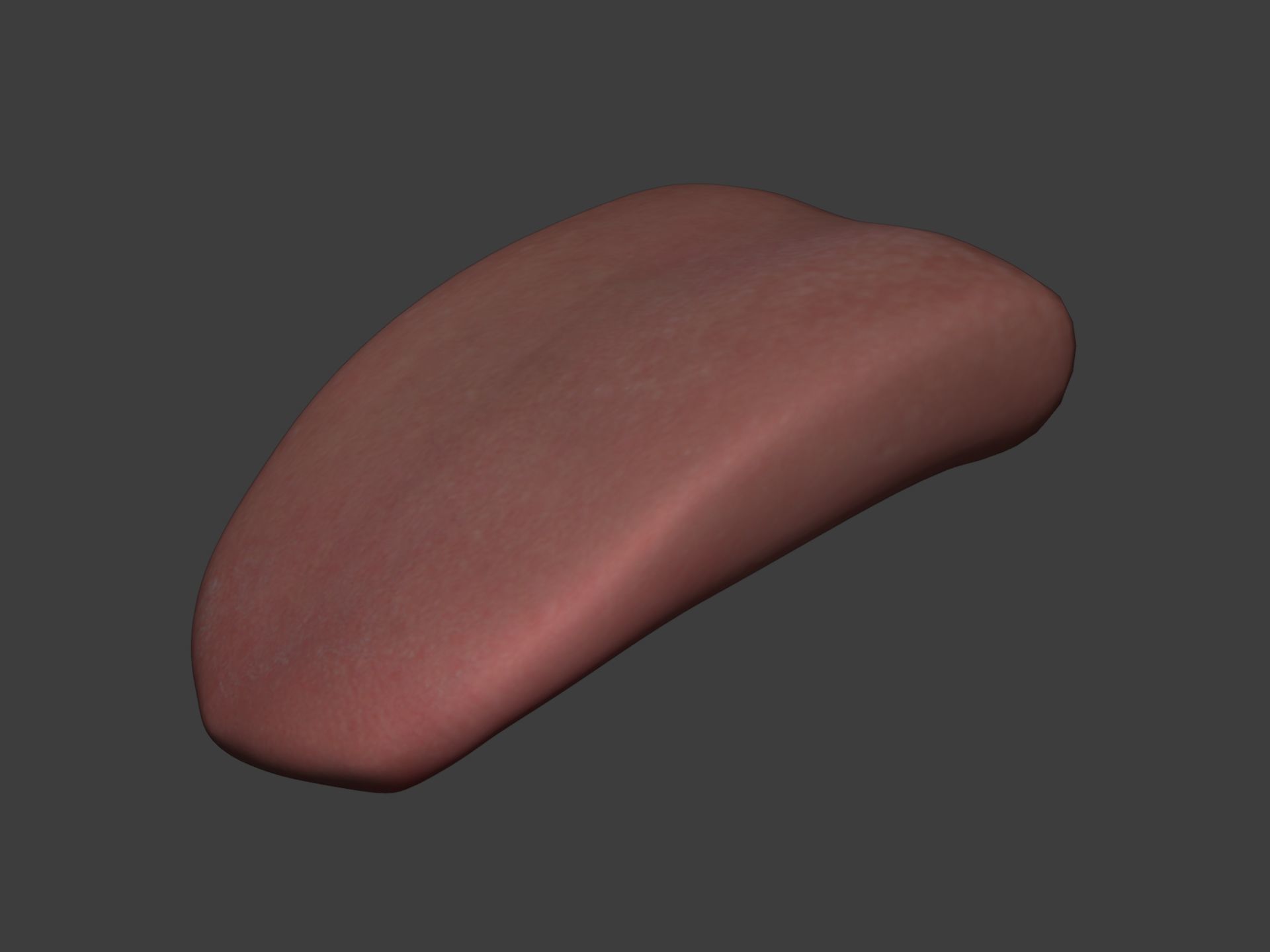 Mouth - Teeth Anatomy -- Rigged -- Low Poly -- PBR Low-poly 3D model_24