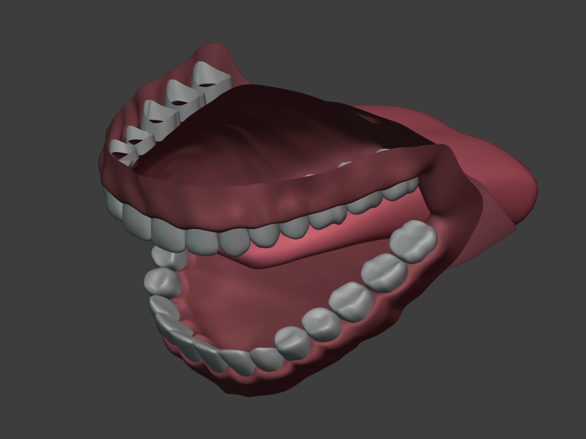 Mouth - Teeth Anatomy -- Rigged -- Low Poly -- PBR Low-poly 3D model_20