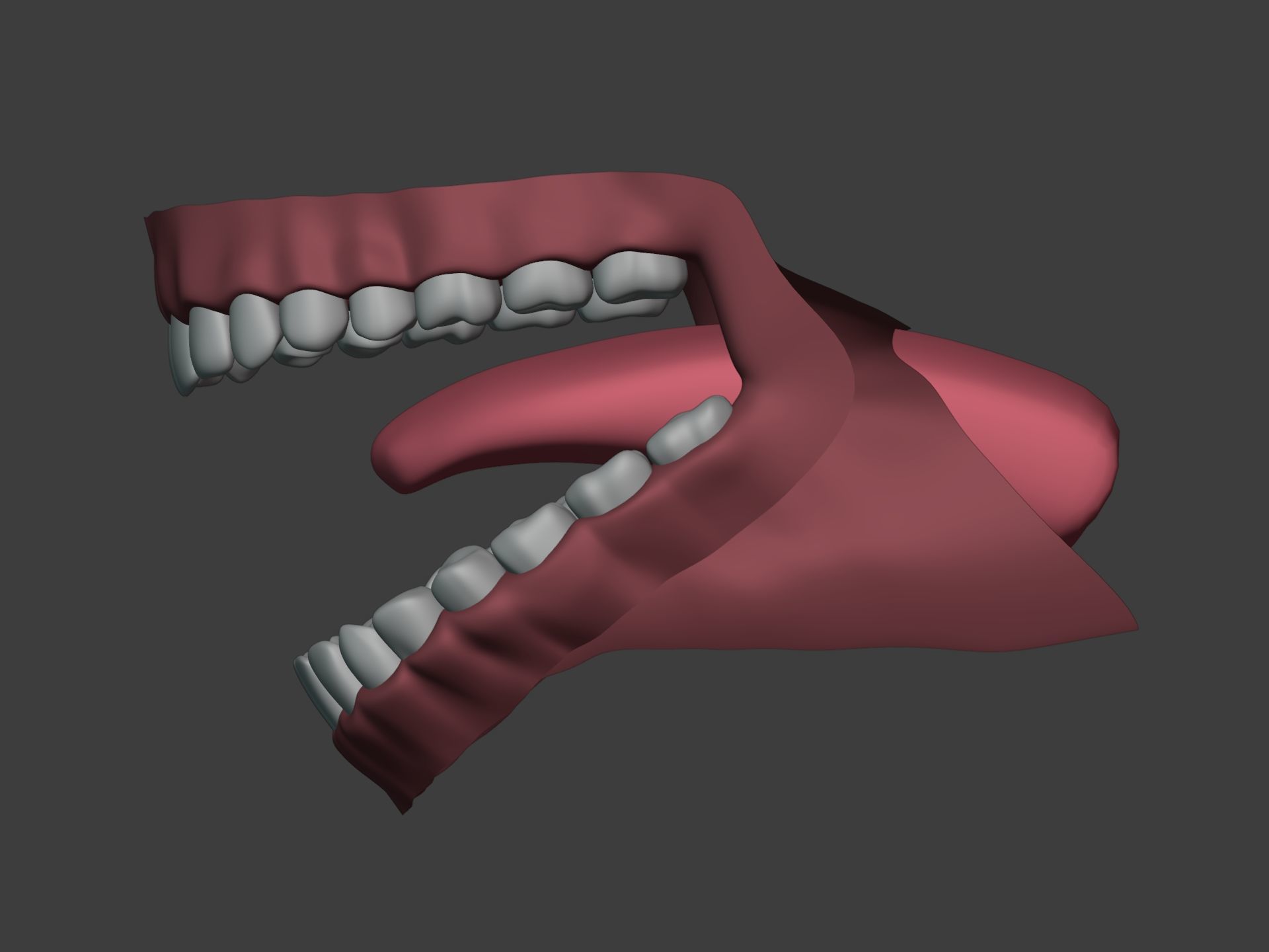 Mouth - Teeth Anatomy -- Rigged -- Low Poly -- PBR Low-poly 3D model_18
