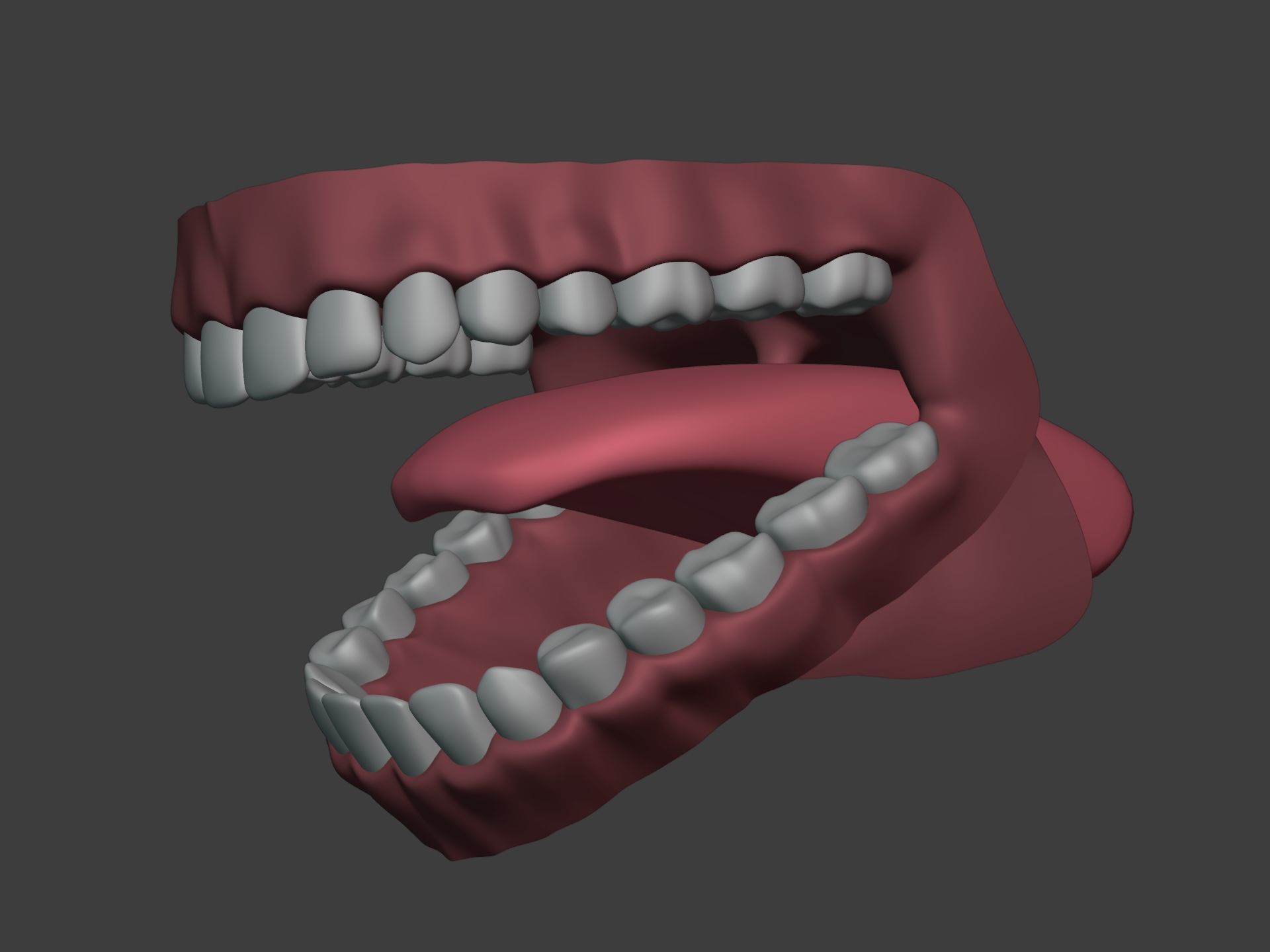 Mouth - Teeth Anatomy -- Rigged -- Low Poly -- PBR Low-poly 3D model_16