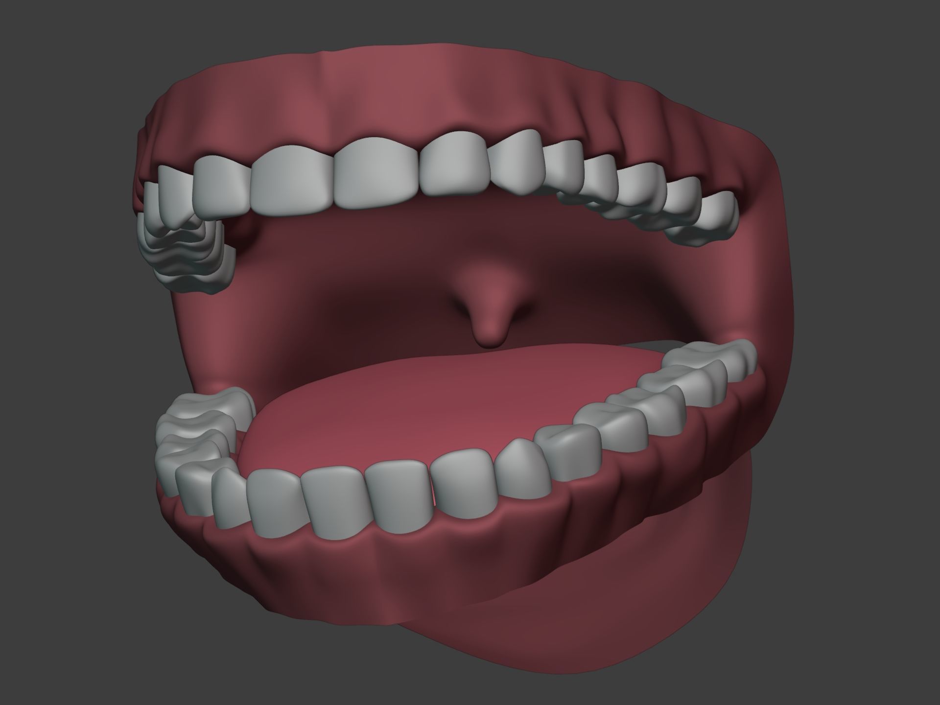 Mouth - Teeth Anatomy -- Rigged -- Low Poly -- PBR Low-poly 3D model_22