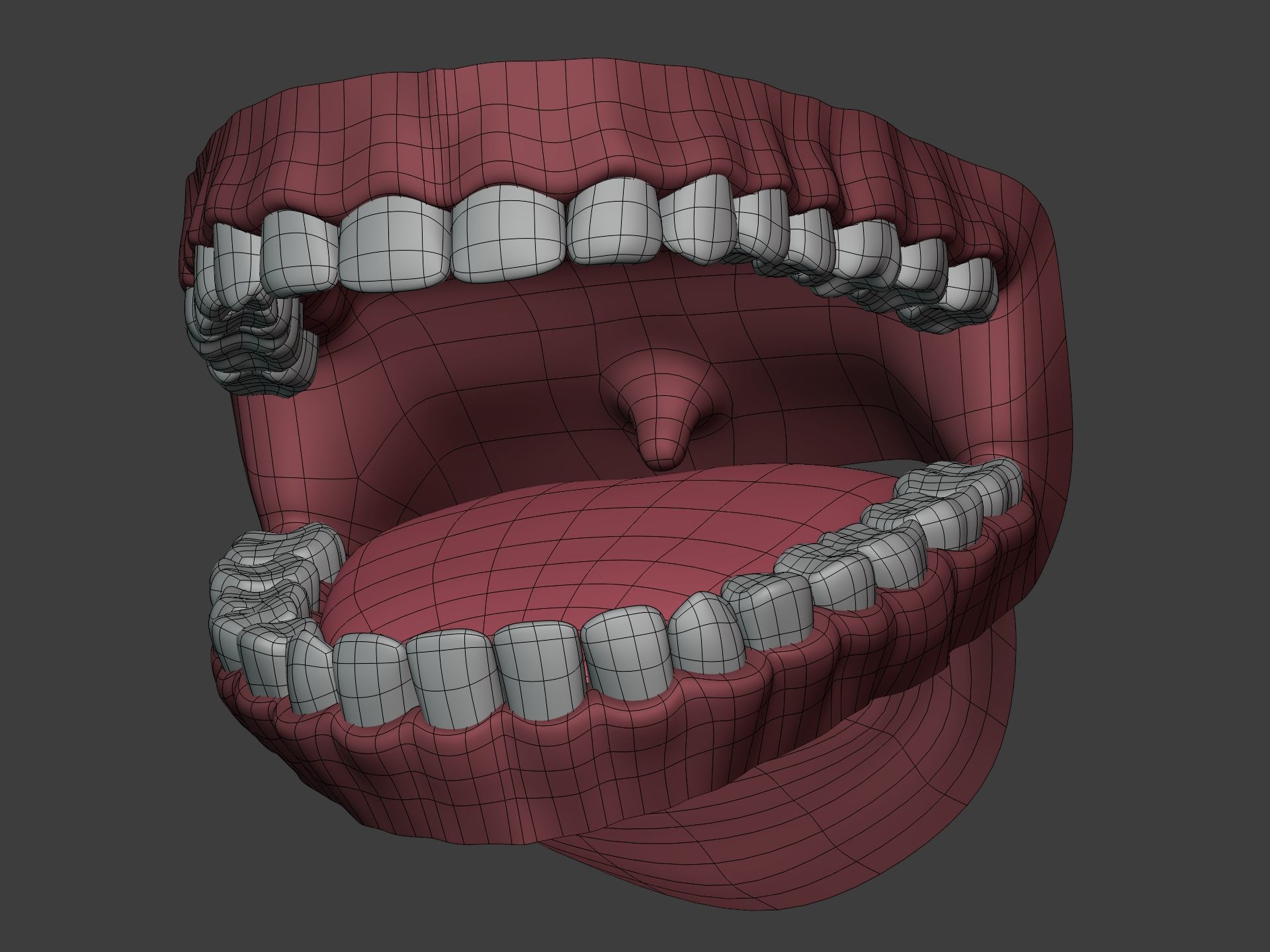 Mouth - Teeth Anatomy -- Rigged -- Low Poly -- PBR Low-poly 3D model_23
