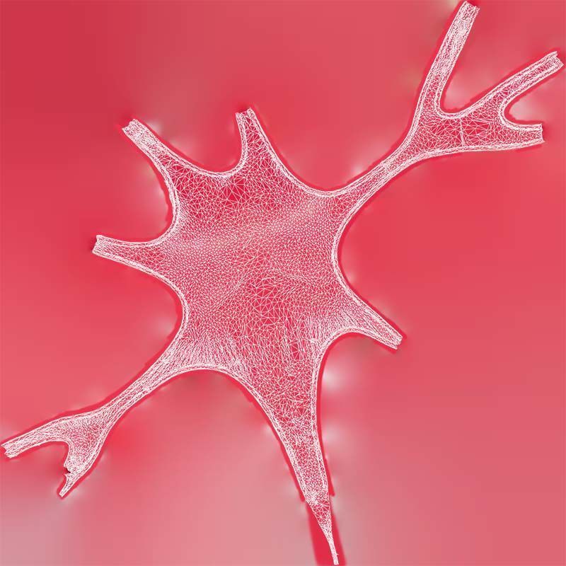 Tight Swimsuit Low-poly 3D model_14