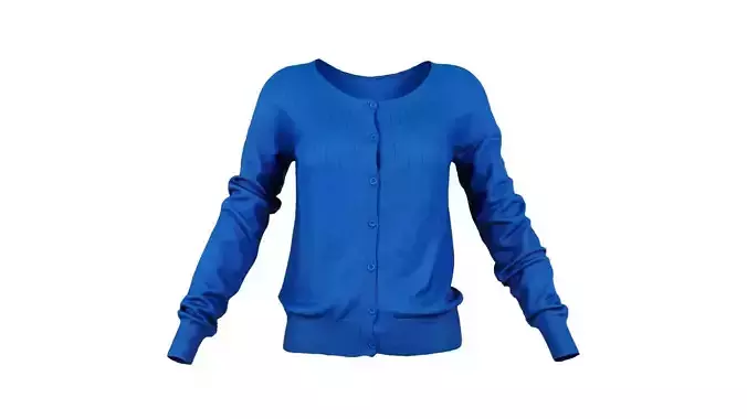 Blue Buttoned Top Low-poly 3D model