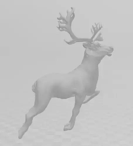Reindeer