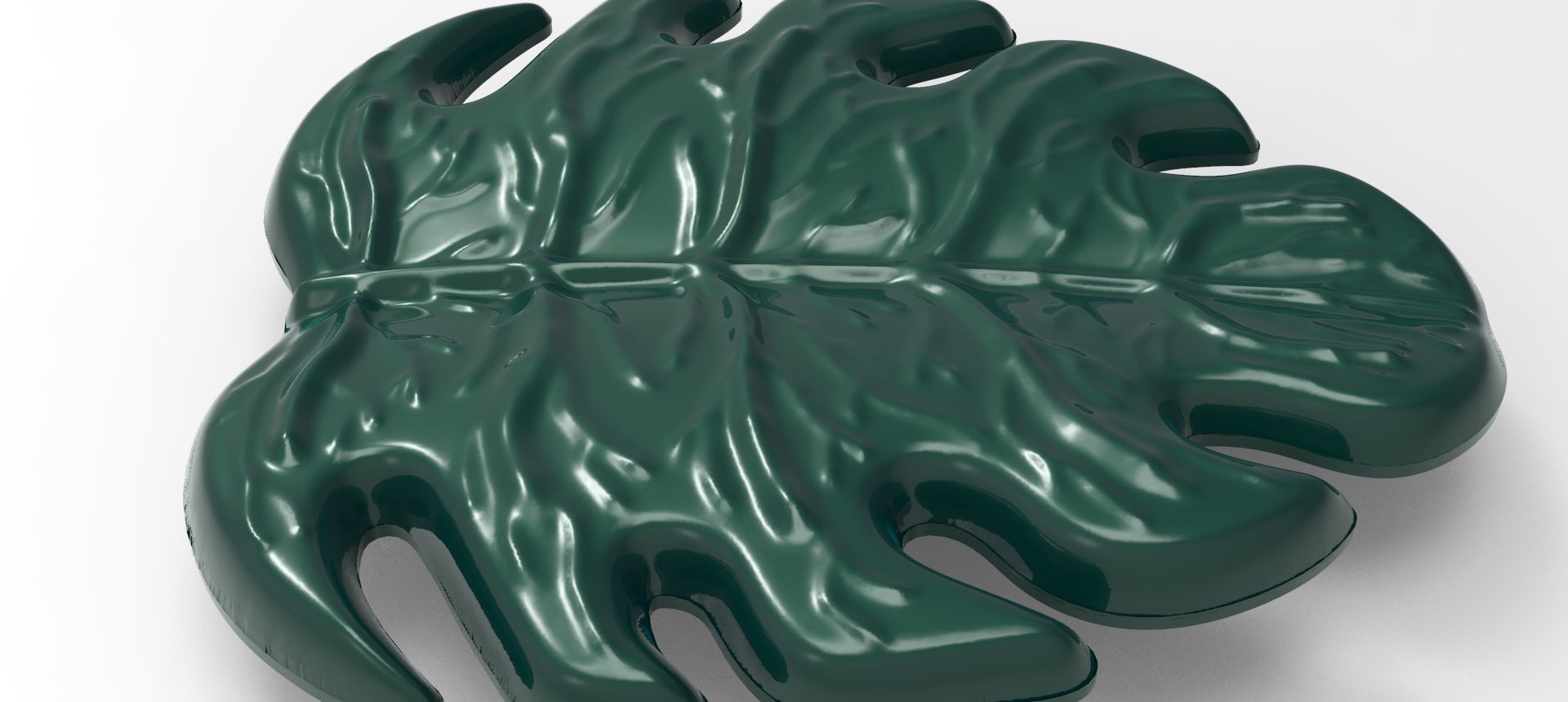 Costela de Adao 3D model_2