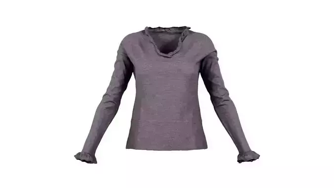 Elegant Brown Top Long Sleeves