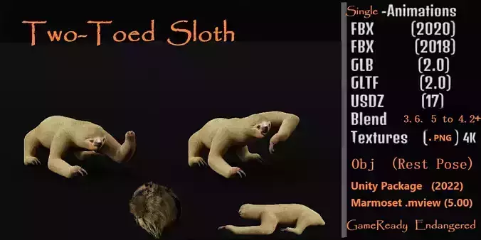 Two Toed Sloth