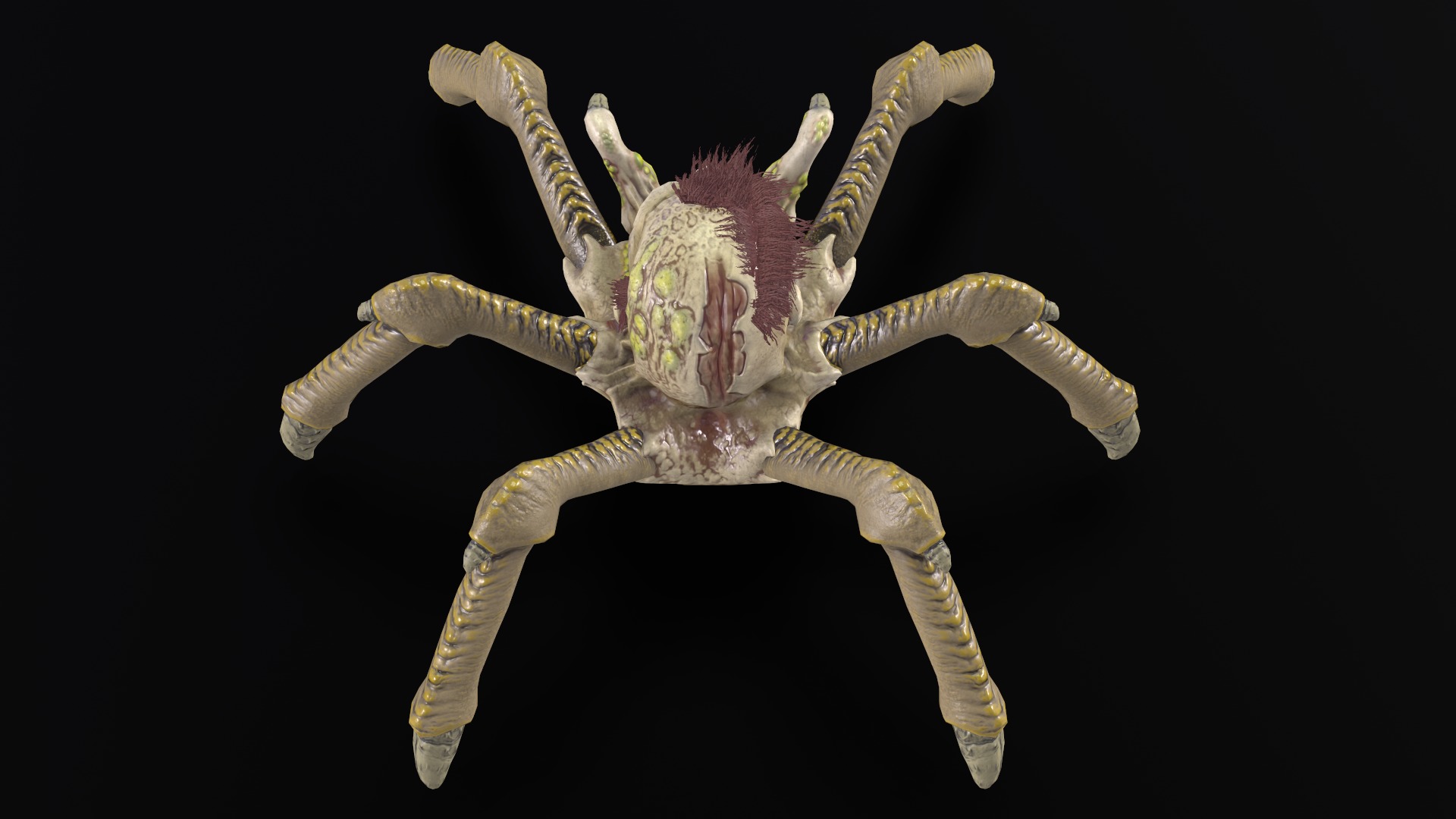 Spider Head Low-poly 3D model_8