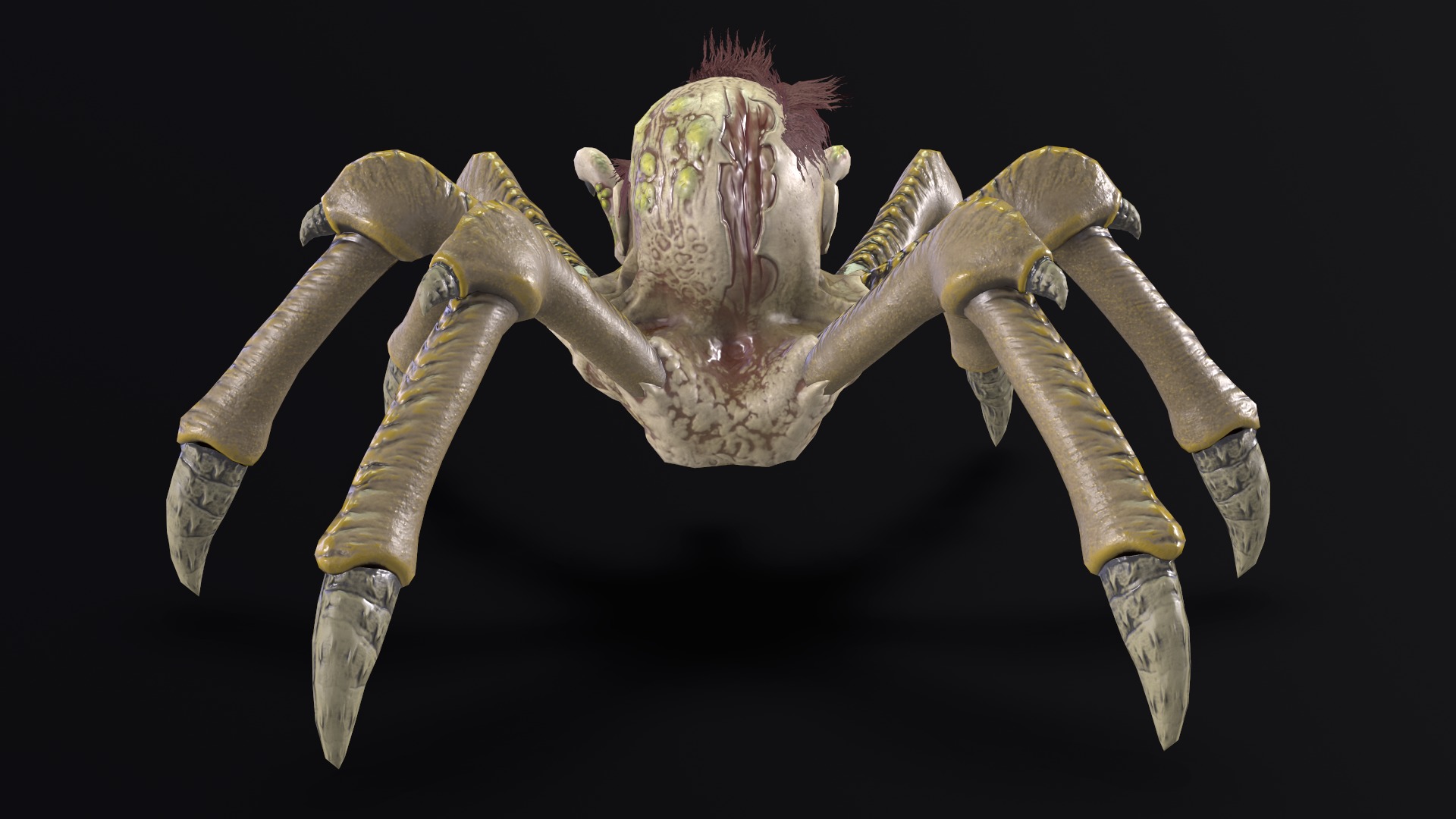 Spider Head Low-poly 3D model_7