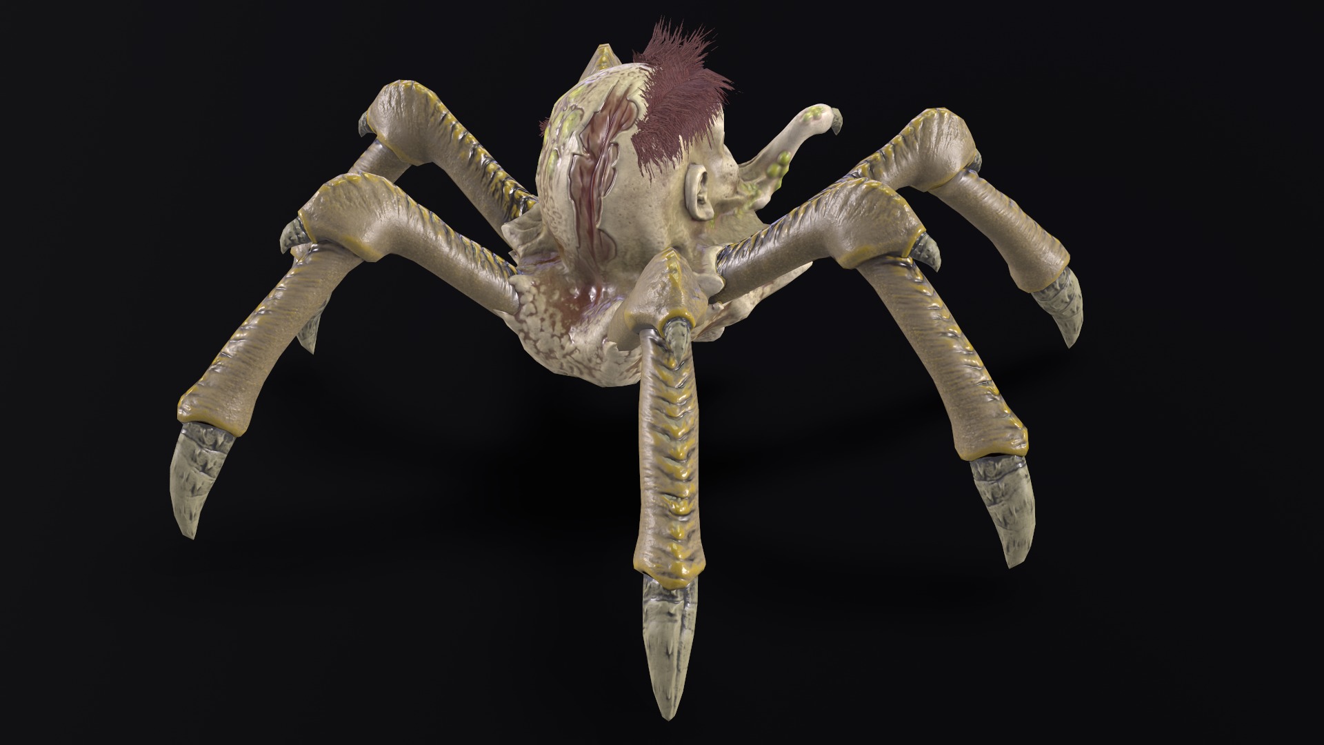 Spider Head Low-poly 3D model_6