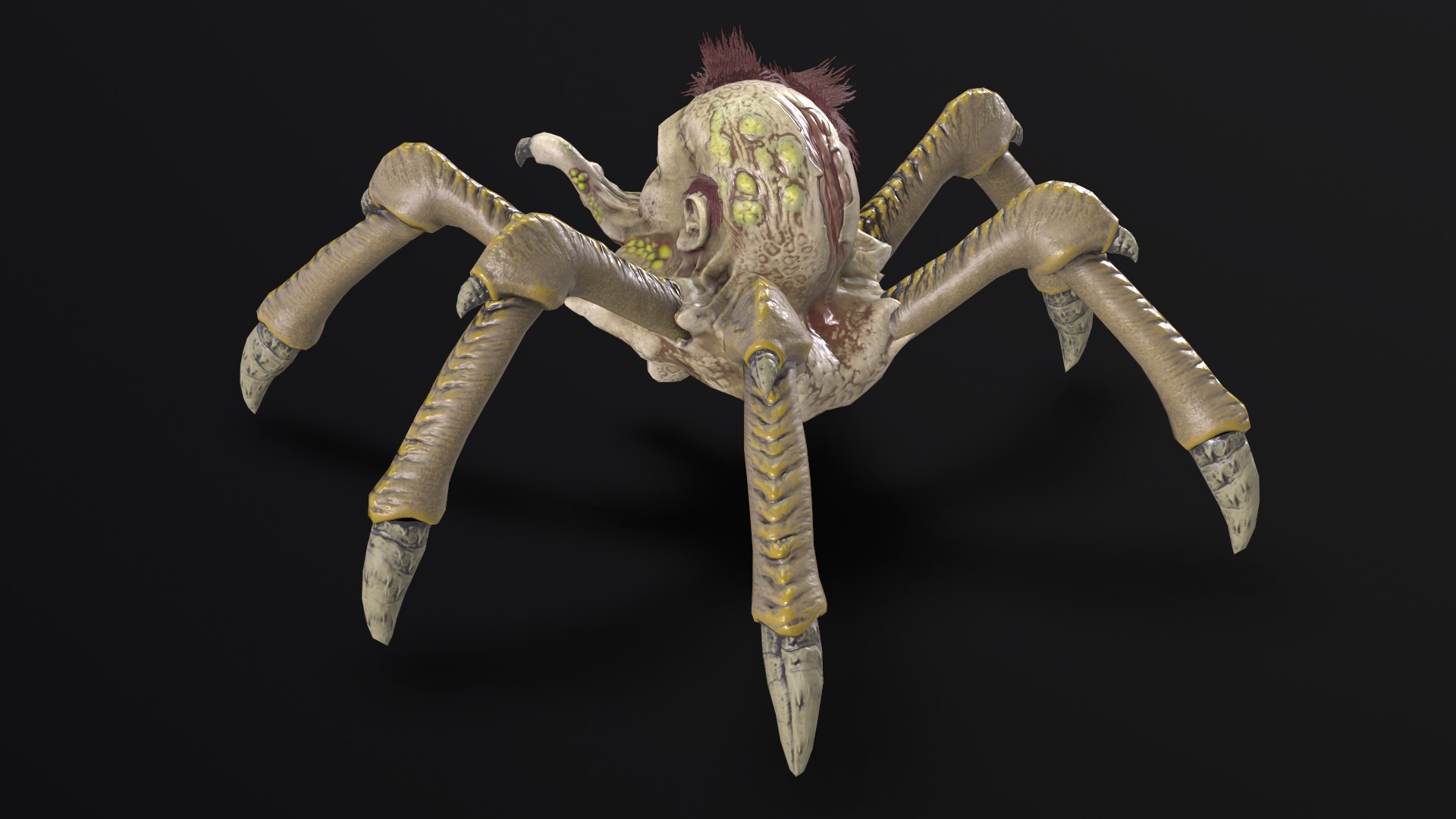 Spider Head Low-poly 3D model_5