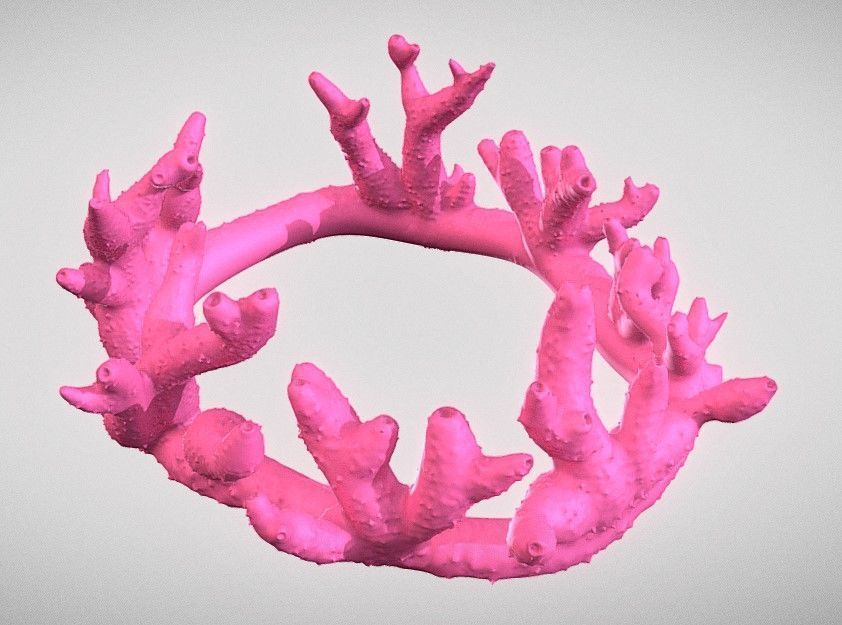 Coral Crown 3D print model_1