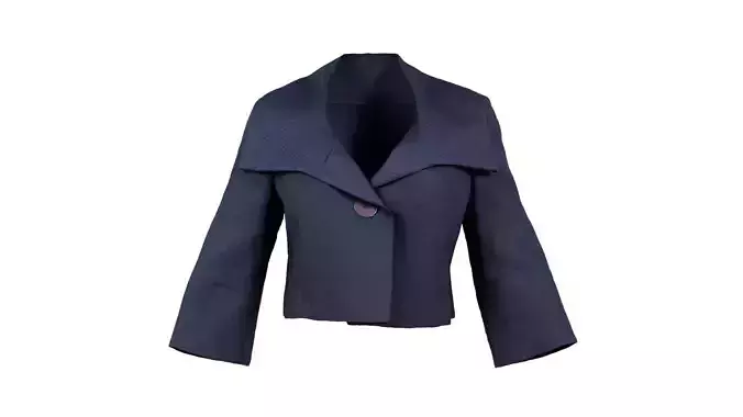 Mini Stylish Jacket Top