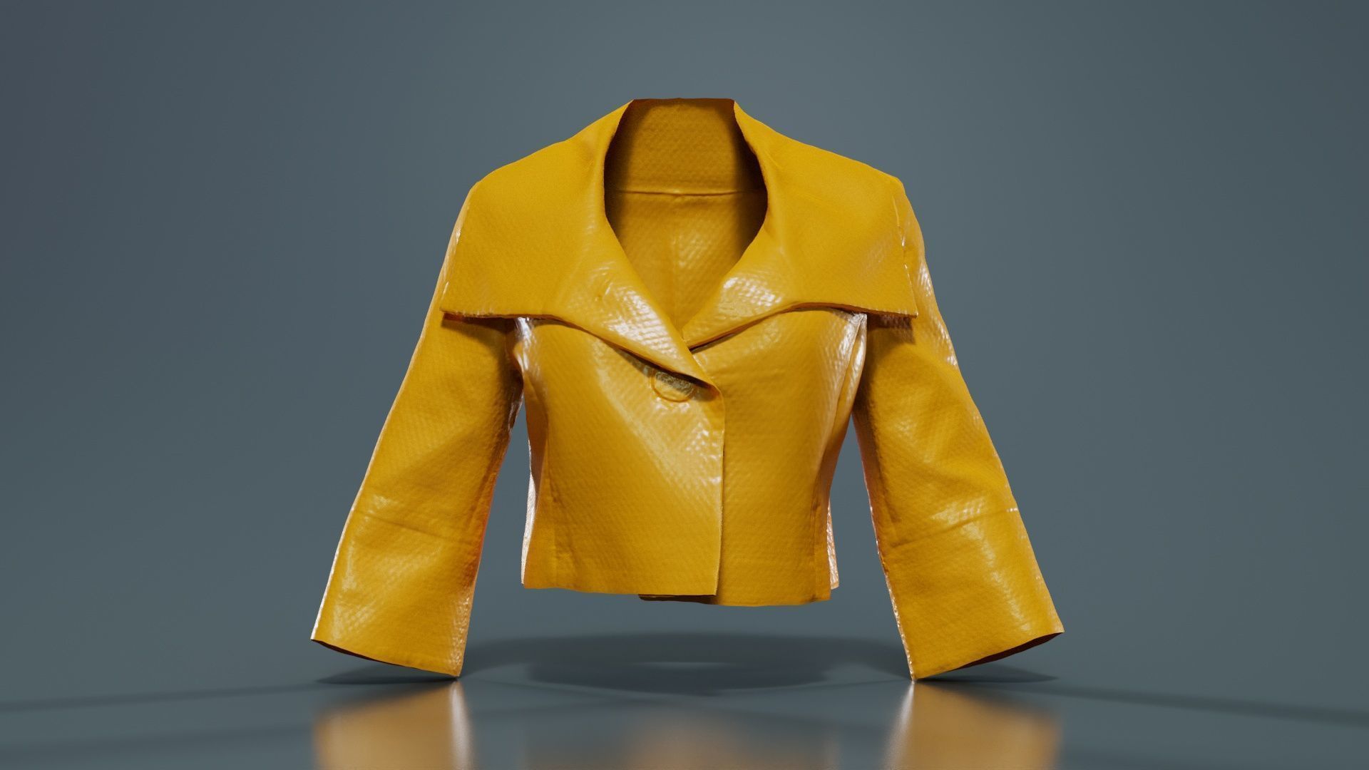 Mini Stylish Jacket Top Low-poly 3D model_12