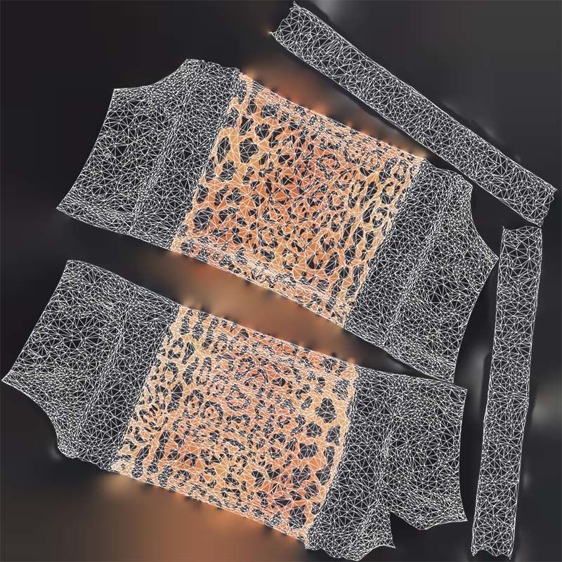 Tiger Bra Low-poly 3D model_14