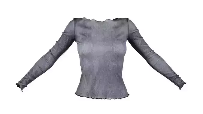 Transparant Metallic Top Shirt