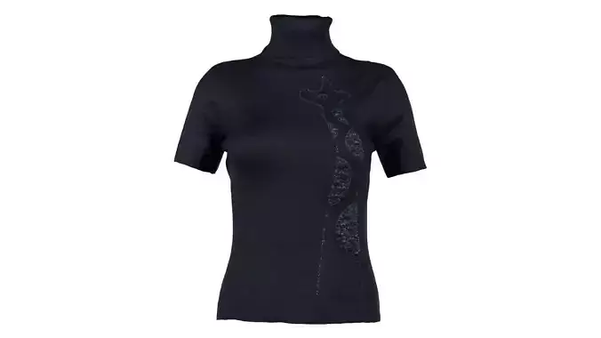 Turtle Neck Decorated Top Dark