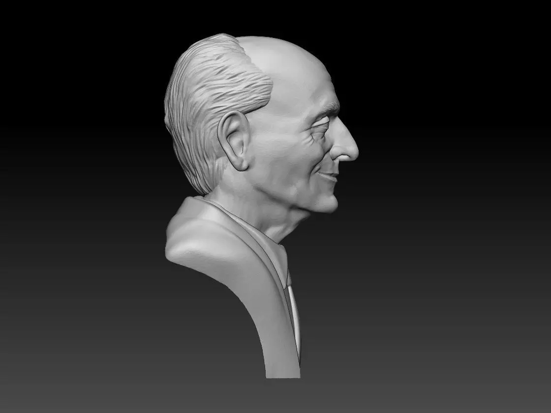 Busto Pugliese 3D print model_0