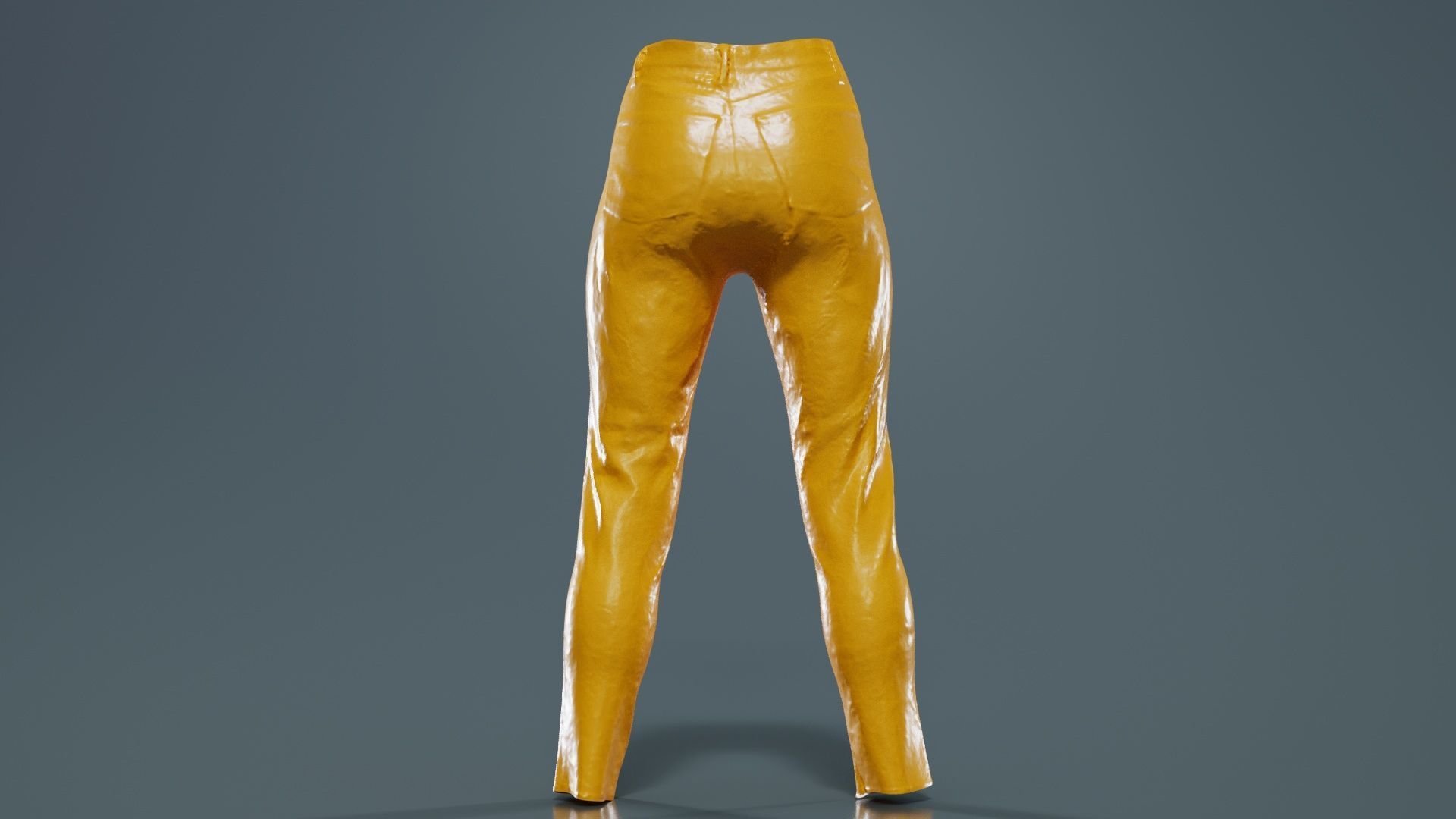Brown Flower Pants Low-poly 3D model_13