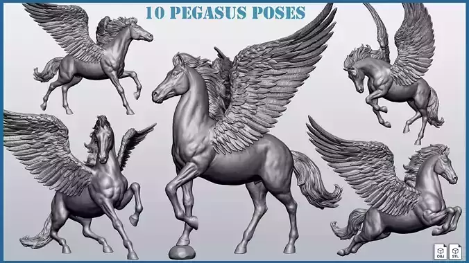 10 PEGASUS poses