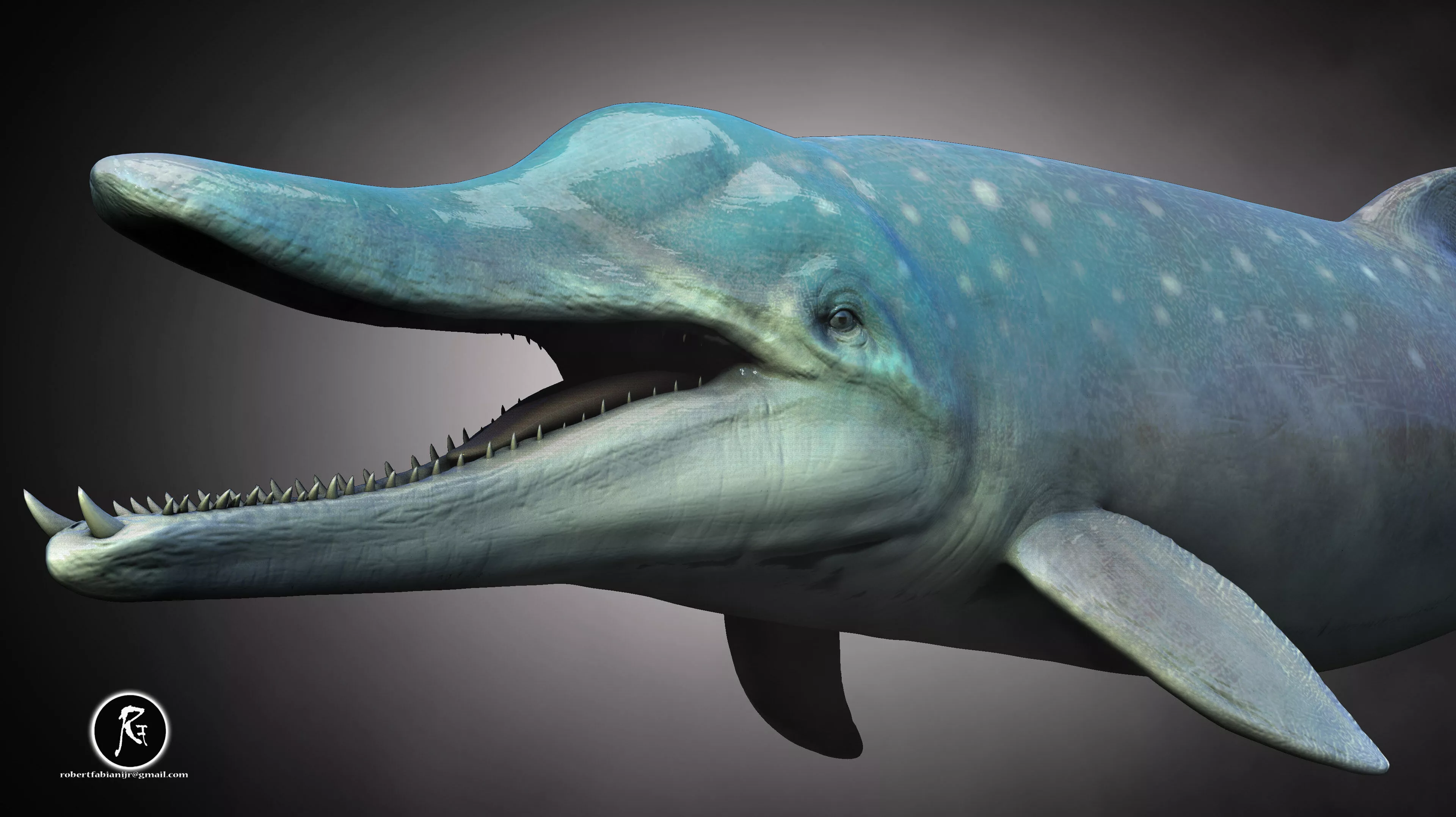 Messapicetus Low-poly 3D model