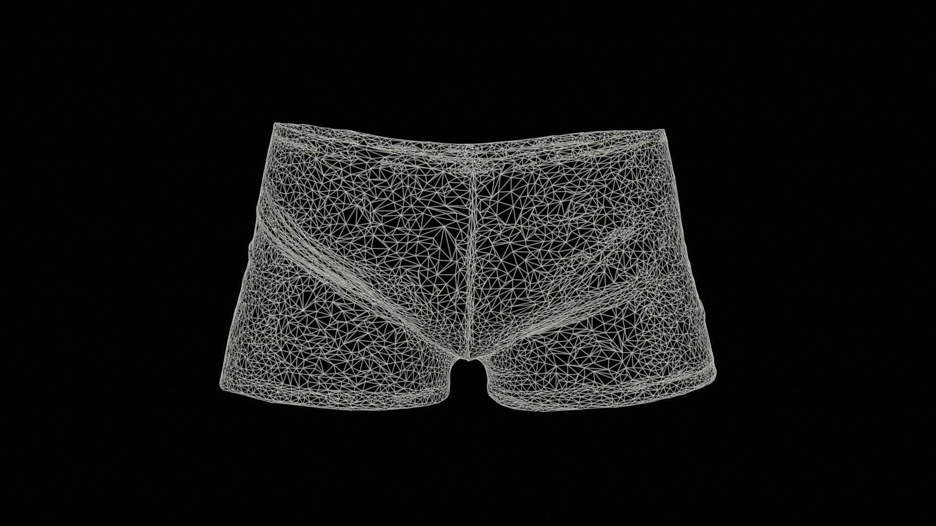 Metallic Easy Shorts Low-poly 3D model_11