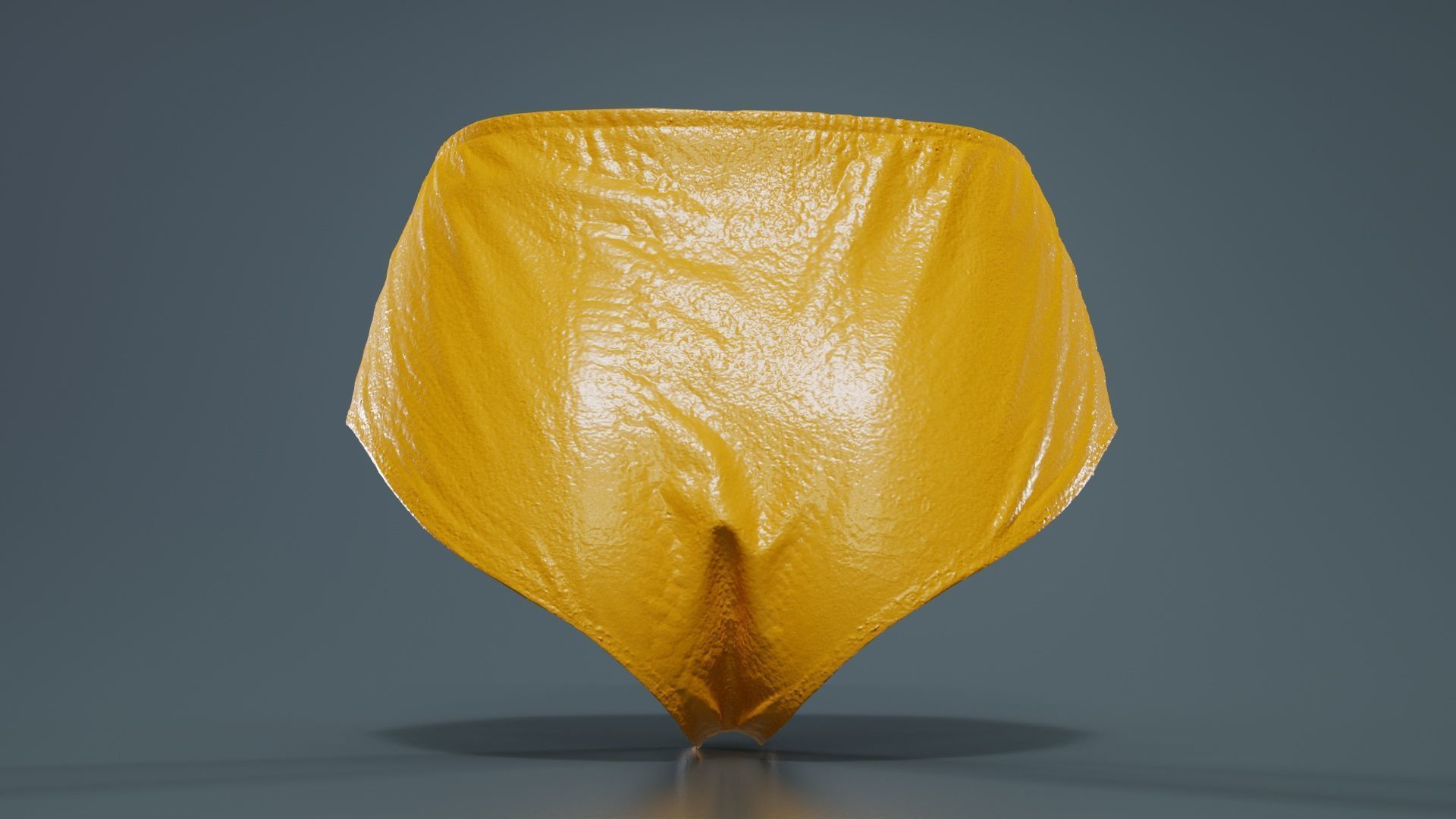 Rainbow Panties Low-poly 3D model_13