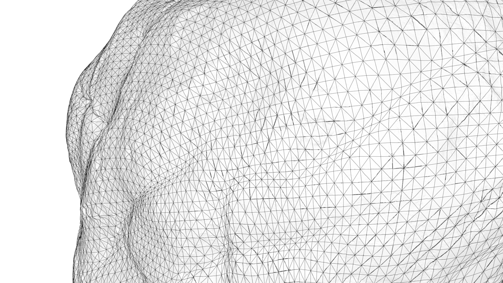 Hale Bopp Comet nucleus 3D model_6