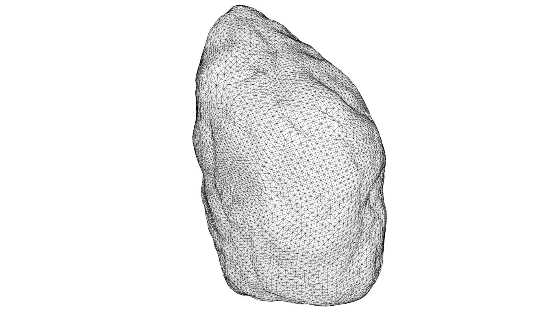 Hale Bopp Comet nucleus 3D model_2
