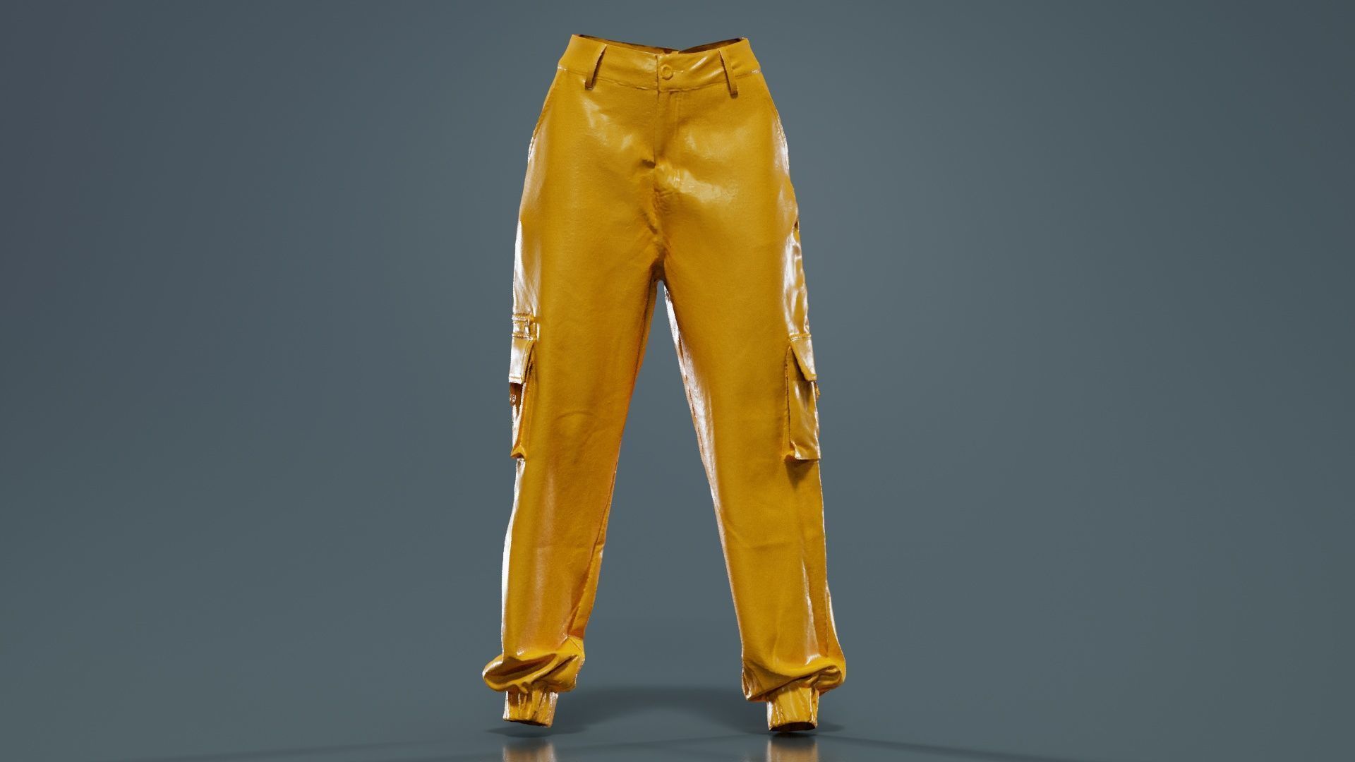 Tiger Trousers Low-poly 3D model_12