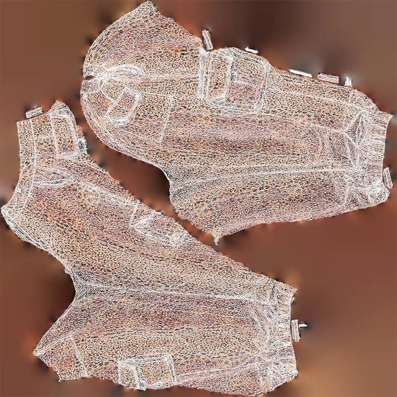 Tiger Trousers Low-poly 3D model_14