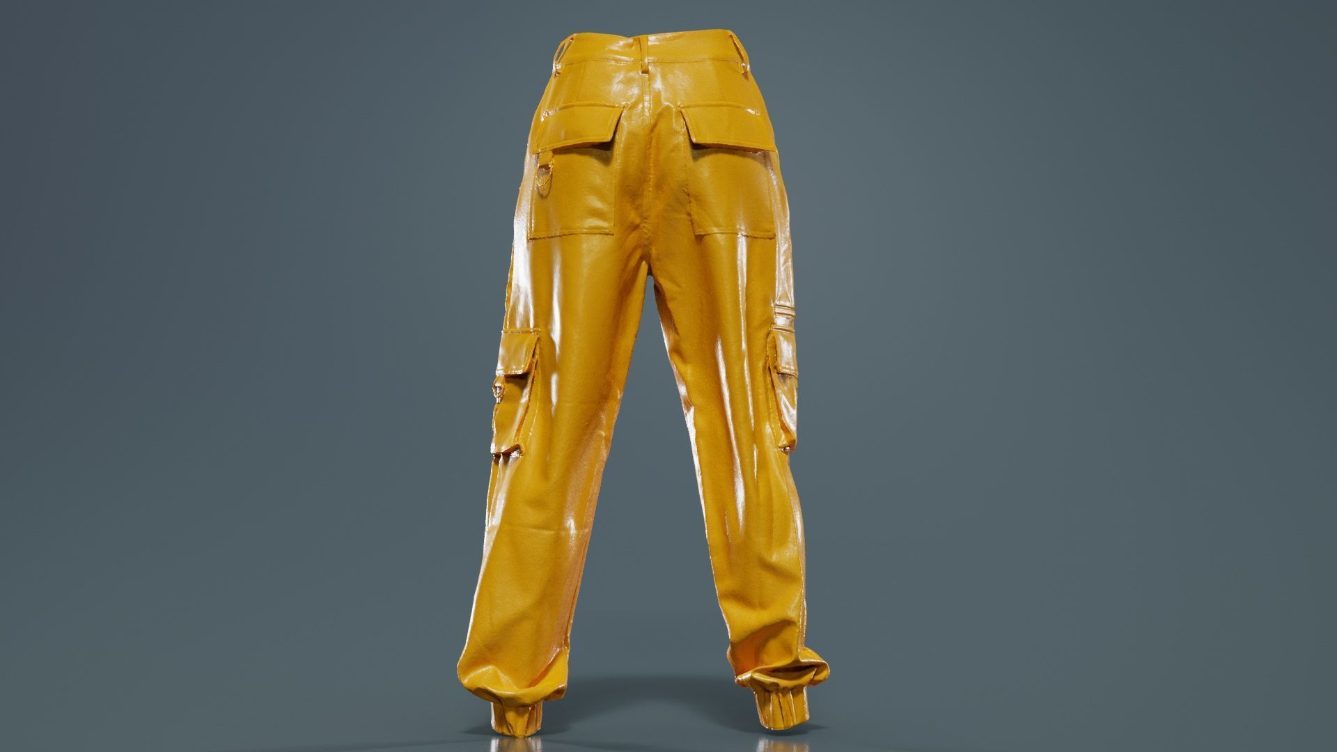 Tiger Trousers Low-poly 3D model_13