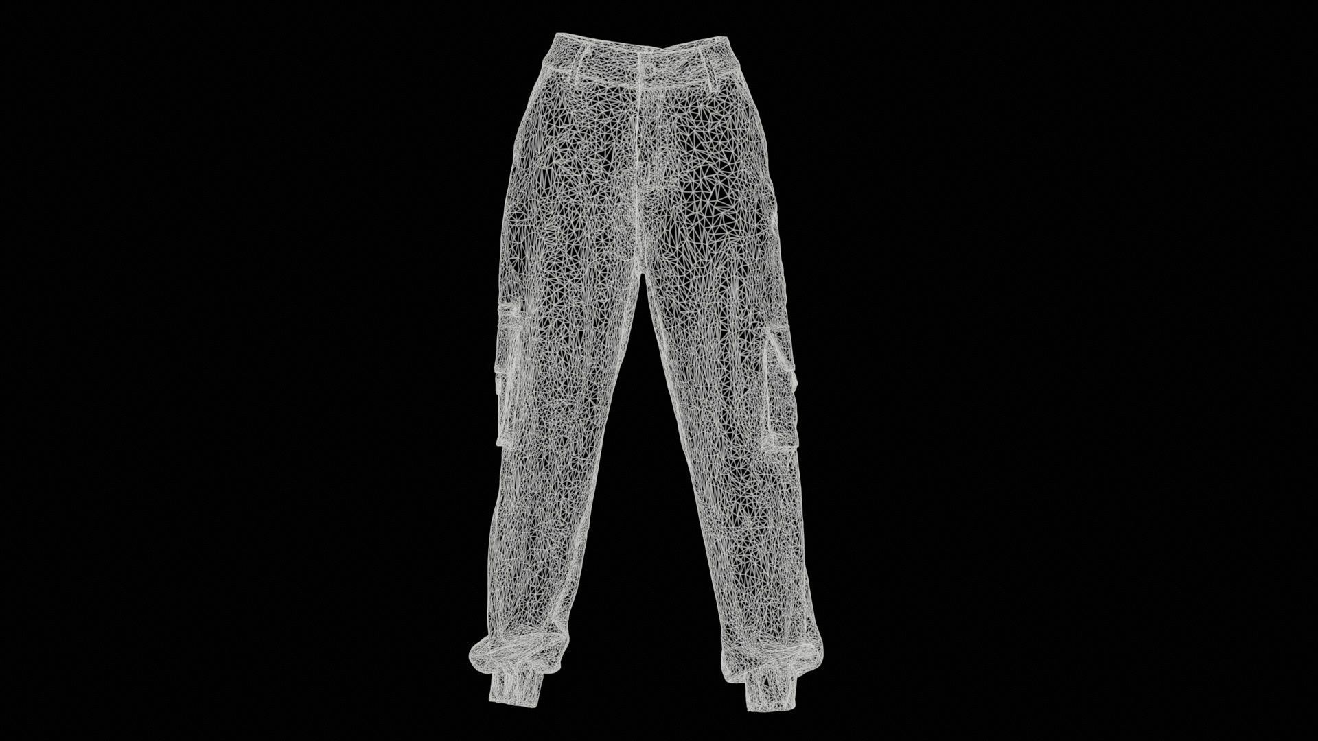 Tiger Trousers Low-poly 3D model_11