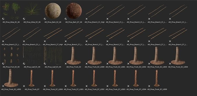 Pine Tree Pack Low-poly 3D model