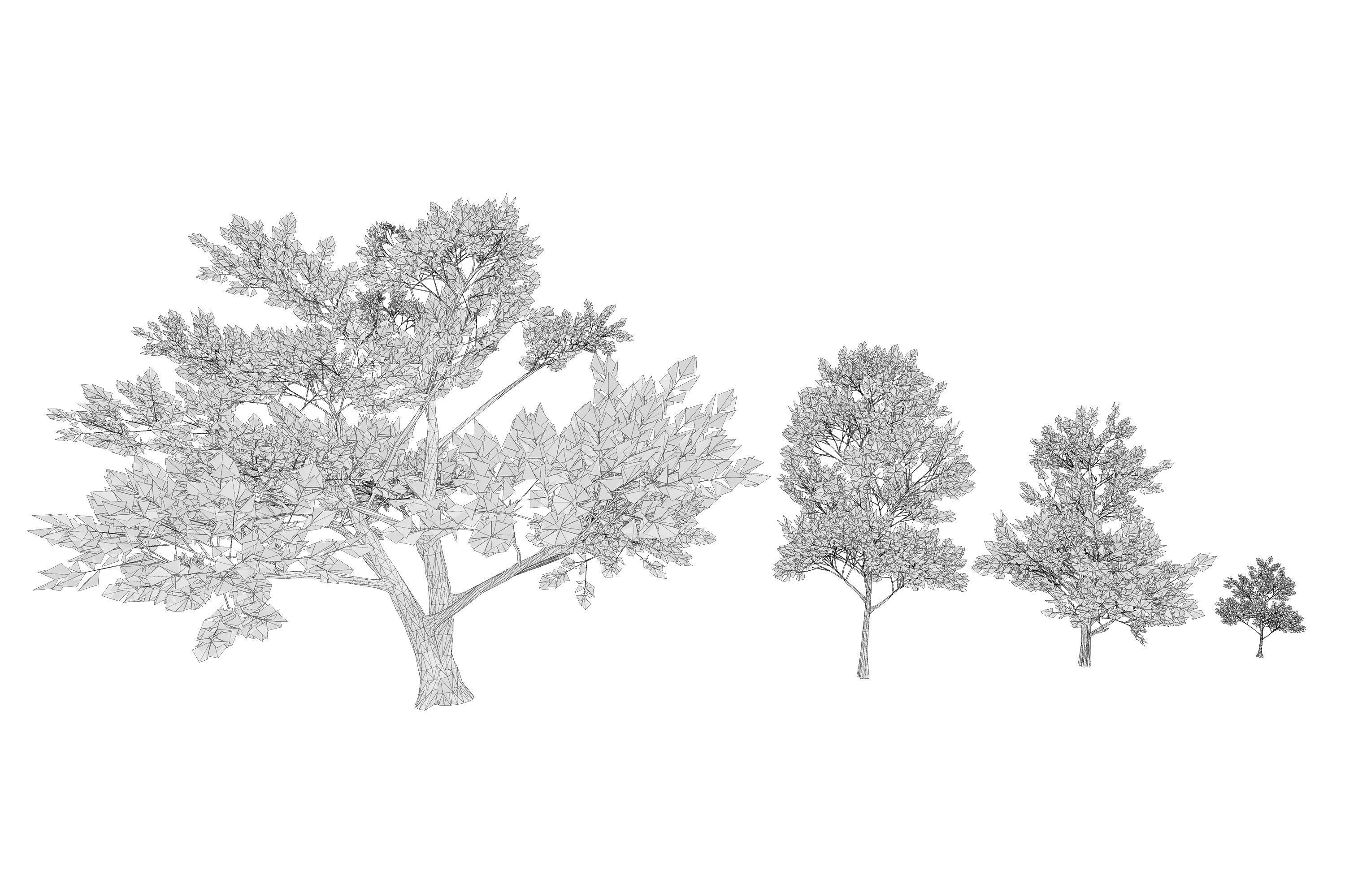 4 Pink Tree Low-poly 3D model_7