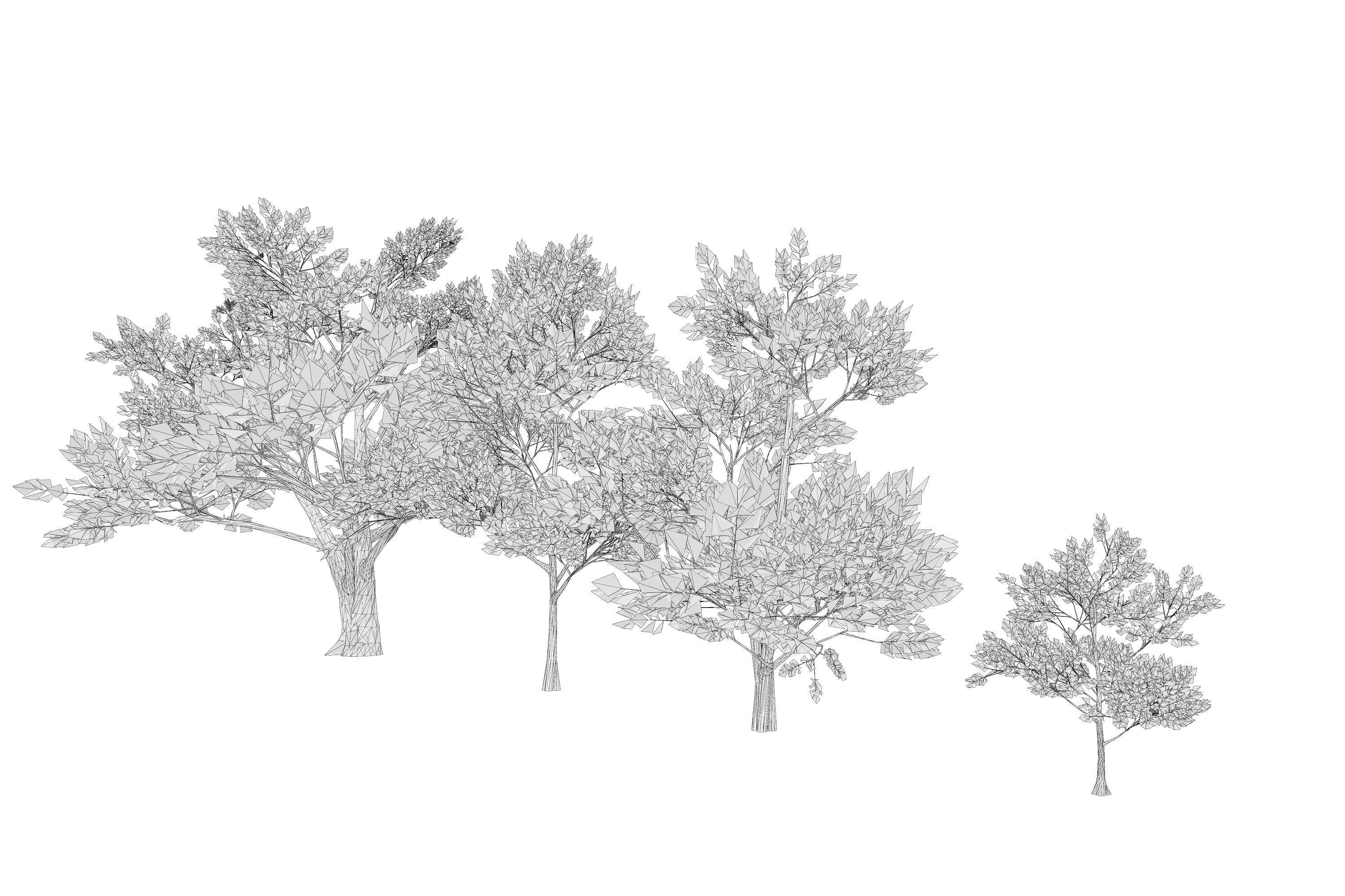 4 Pink Tree Low-poly 3D model_12