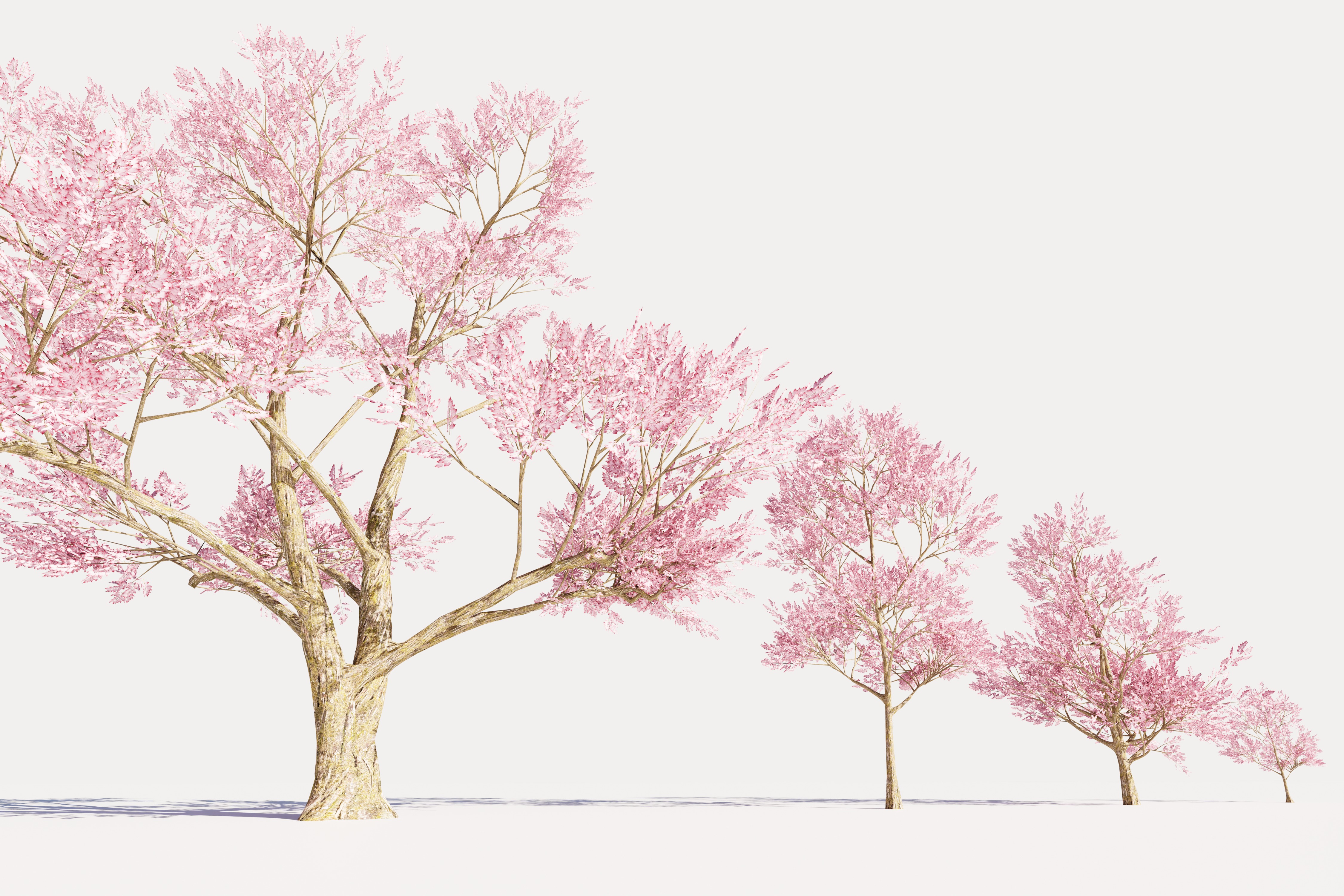4 Pink Tree Low-poly 3D model_6