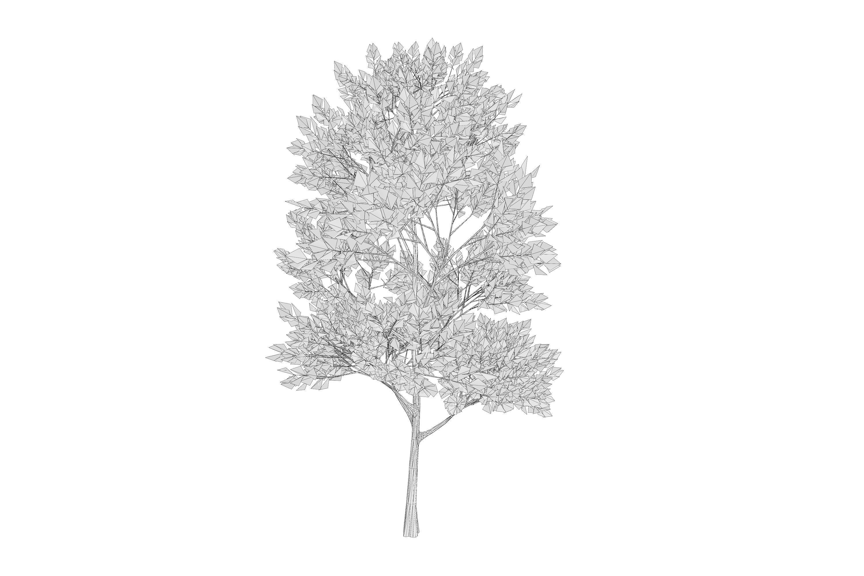 4 Pink Tree Low-poly 3D model_11