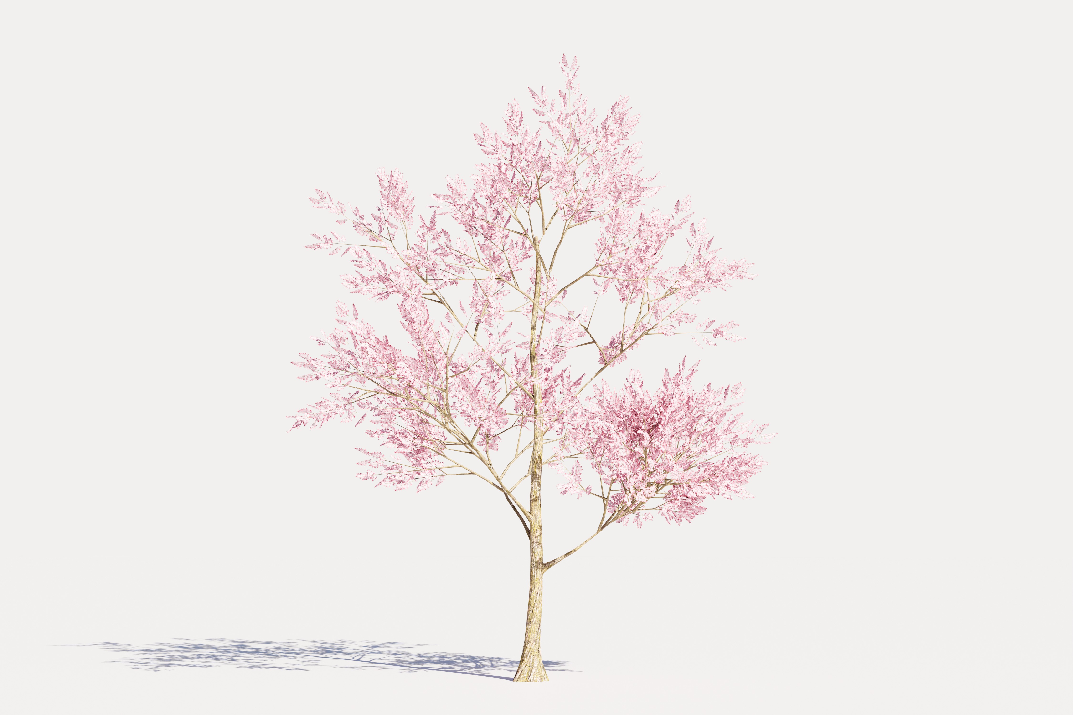 4 Pink Tree Low-poly 3D model_3