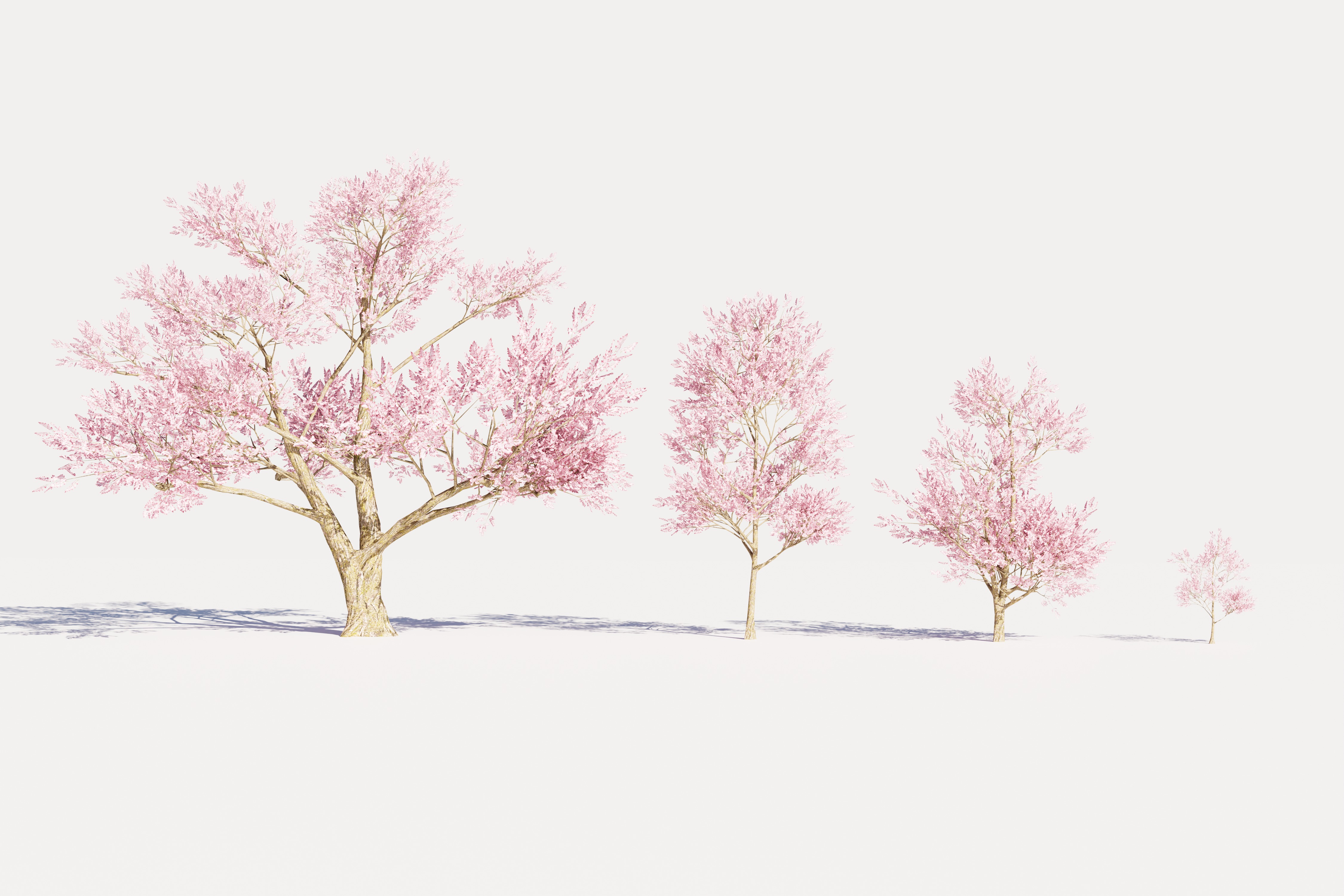 4 Pink Tree Low-poly 3D model_1