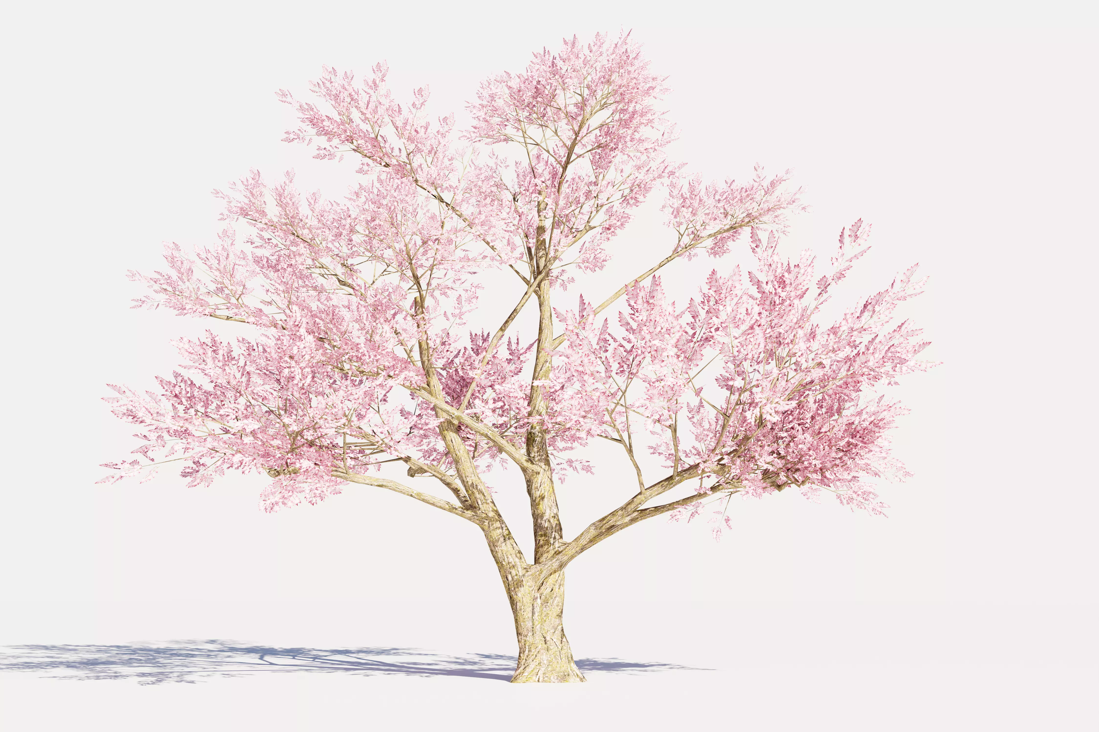 4 Pink Tree Low-poly 3D model_0