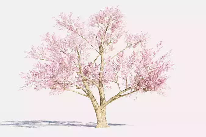  4 Pink Tree Low-poly 3D model