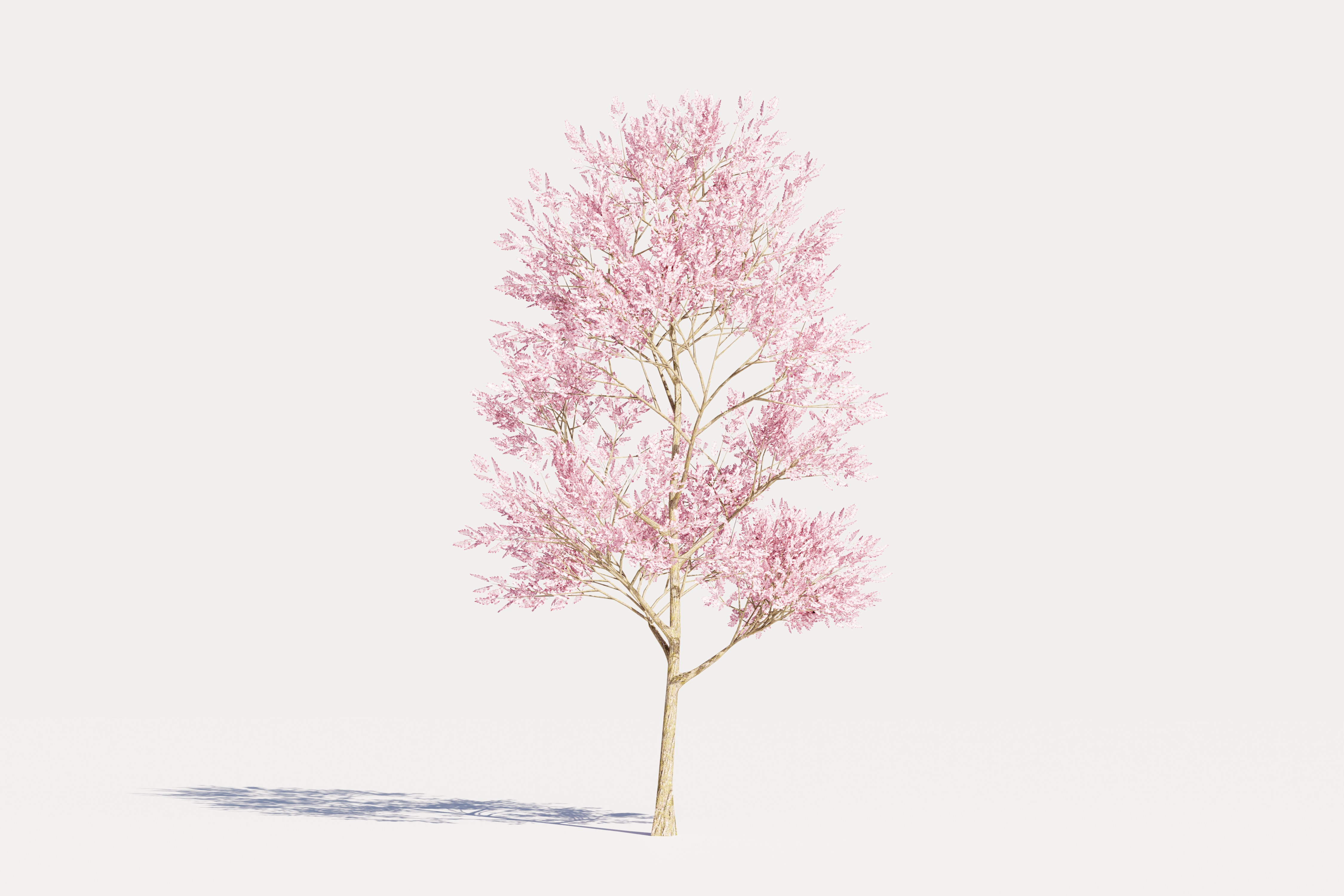 4 Pink Tree Low-poly 3D model_4